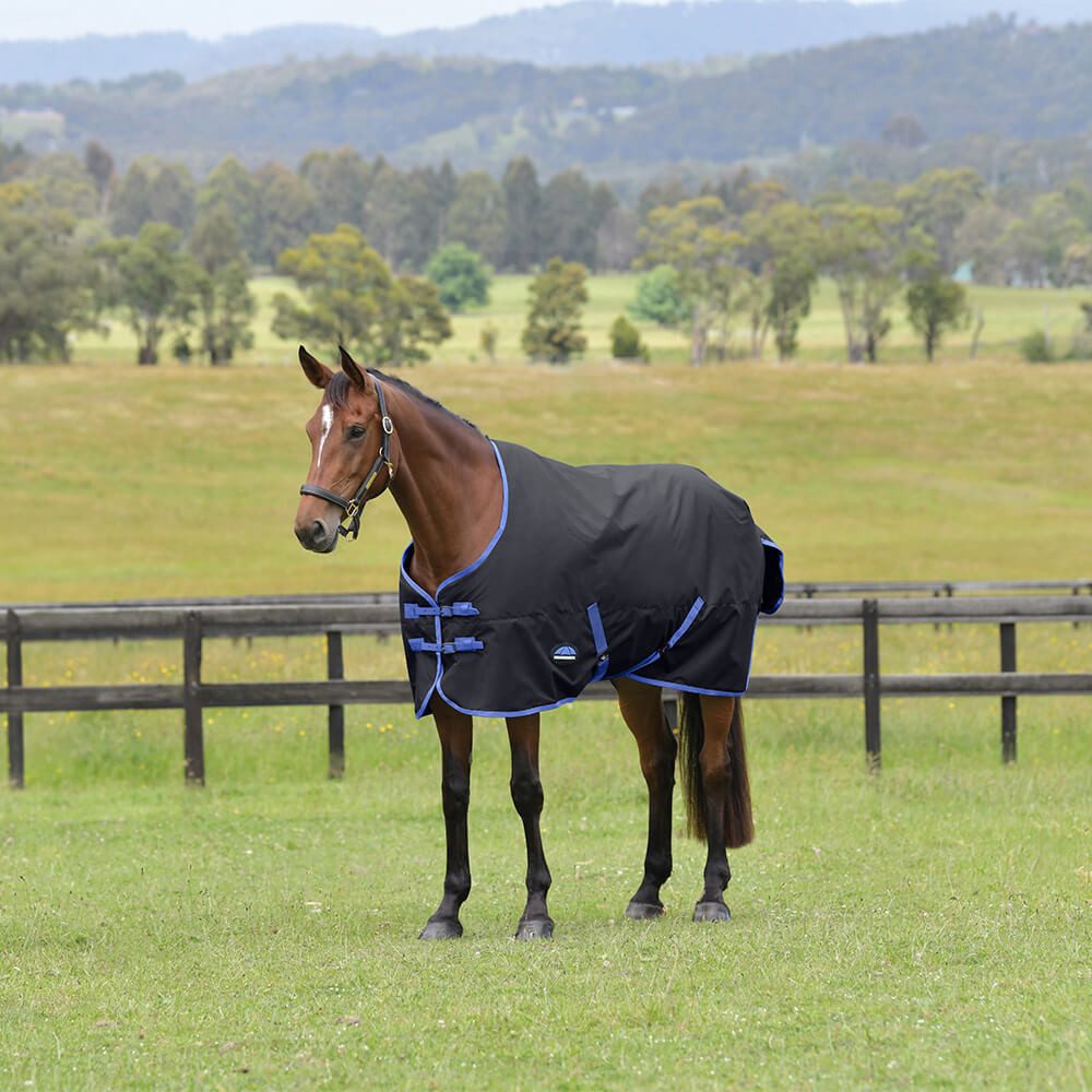 Pferde-Thermodecke Weatherbeeta Comfitec Tyro Turnout Standard Neck 220g
