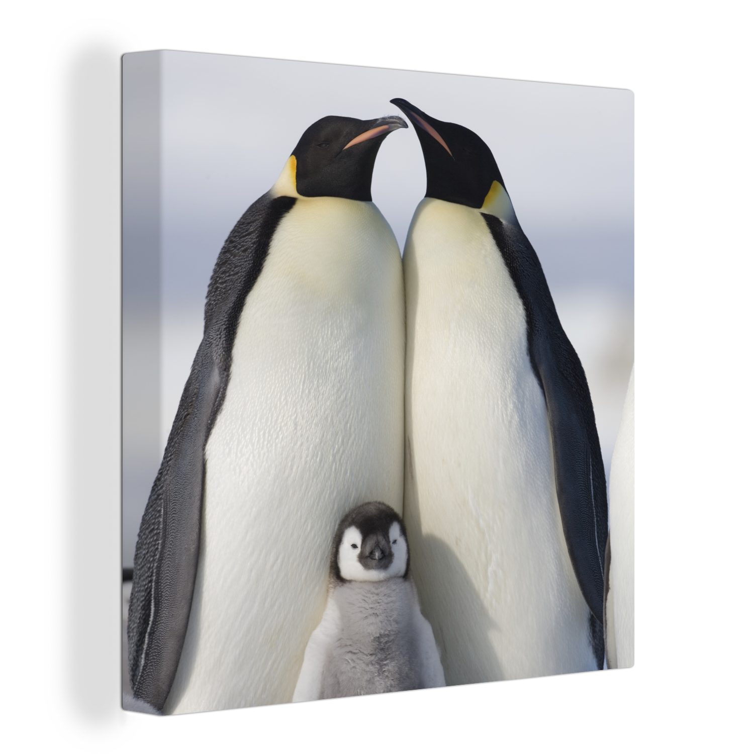 OneMillionCanvasses® Leinwandbild Pinguin - Familie - Schnee, (1 St), Leinwand Bilder für Wohnzimmer Schlafzimmer