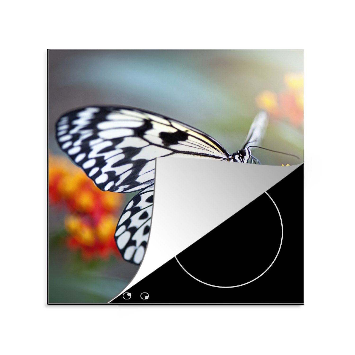 MuchoWow Herdblende-/Abdeckplatte Schmetterling - Blume - Tiere, Vinyl, (1 tlg), 78x78 cm, Ceranfeldabdeckung, Arbeitsplatte für küche