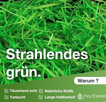 Hey!Easter® Osternest 10x 50gr. Ostergras Gras zum Schmücken an Ostern grün, täuschend echt