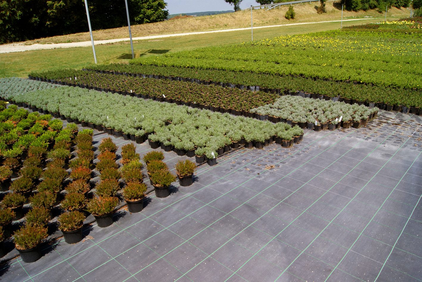 EraGreen Bodenschutzvlies EraGreen reißfeste Unkrautfolie 1m x 0,5m, UV-Stabil und wasserdurchl, (EraGreen reißfeste Unkrautfolie, UV-Stabil wasserdurchlässig B – Bild 3 von 5