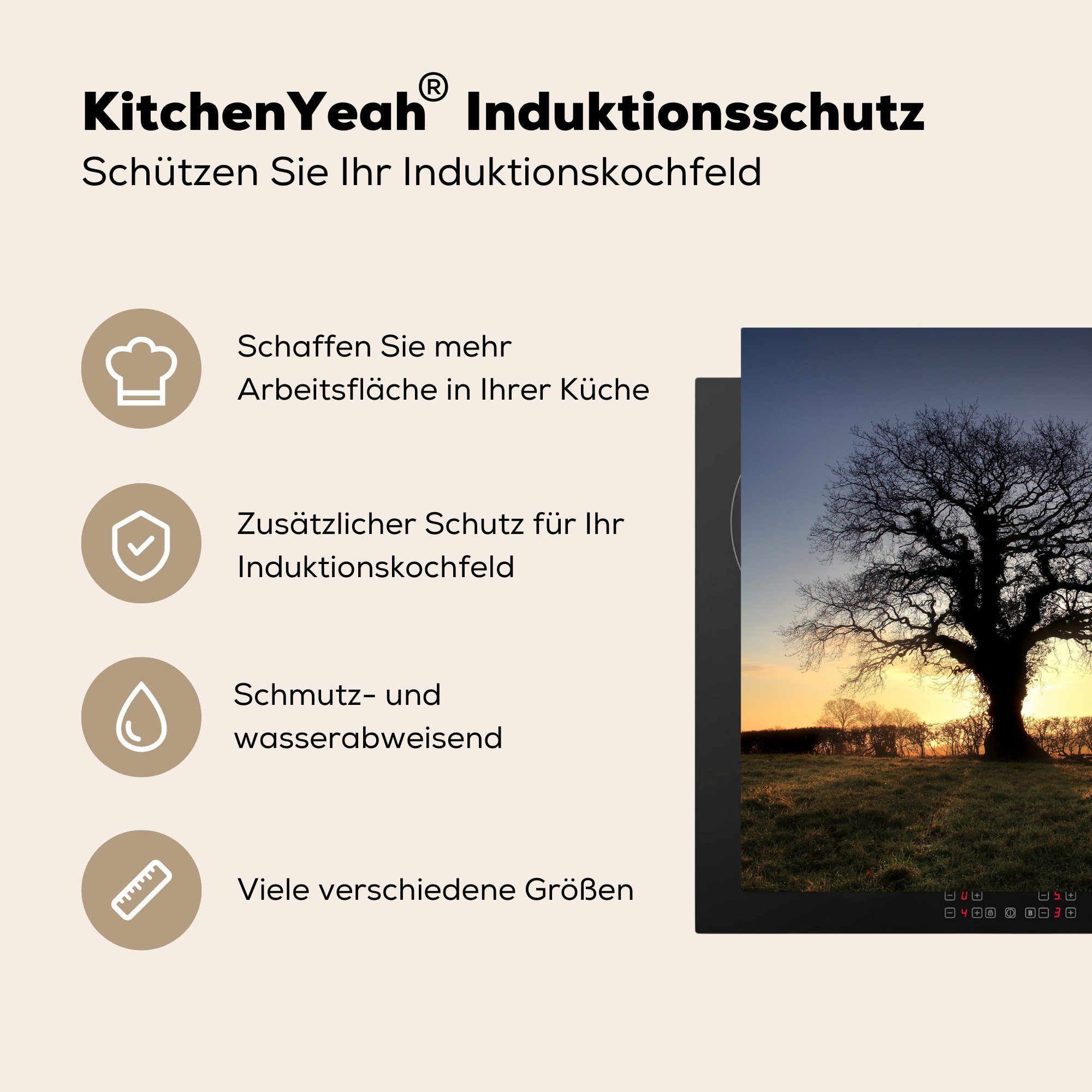 einer für tlg), Vinyl, 78x78 küche alten MuchoWow Herdblende-/Abdeckplatte Sonnenuntergang Eiche, Arbeitsplatte (1 hinter Ceranfeldabdeckung, cm,