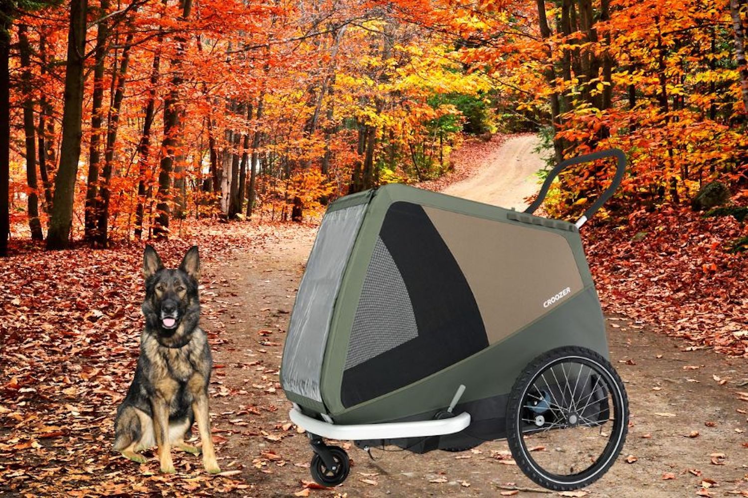 Croozer Fahrradhundeanhänger