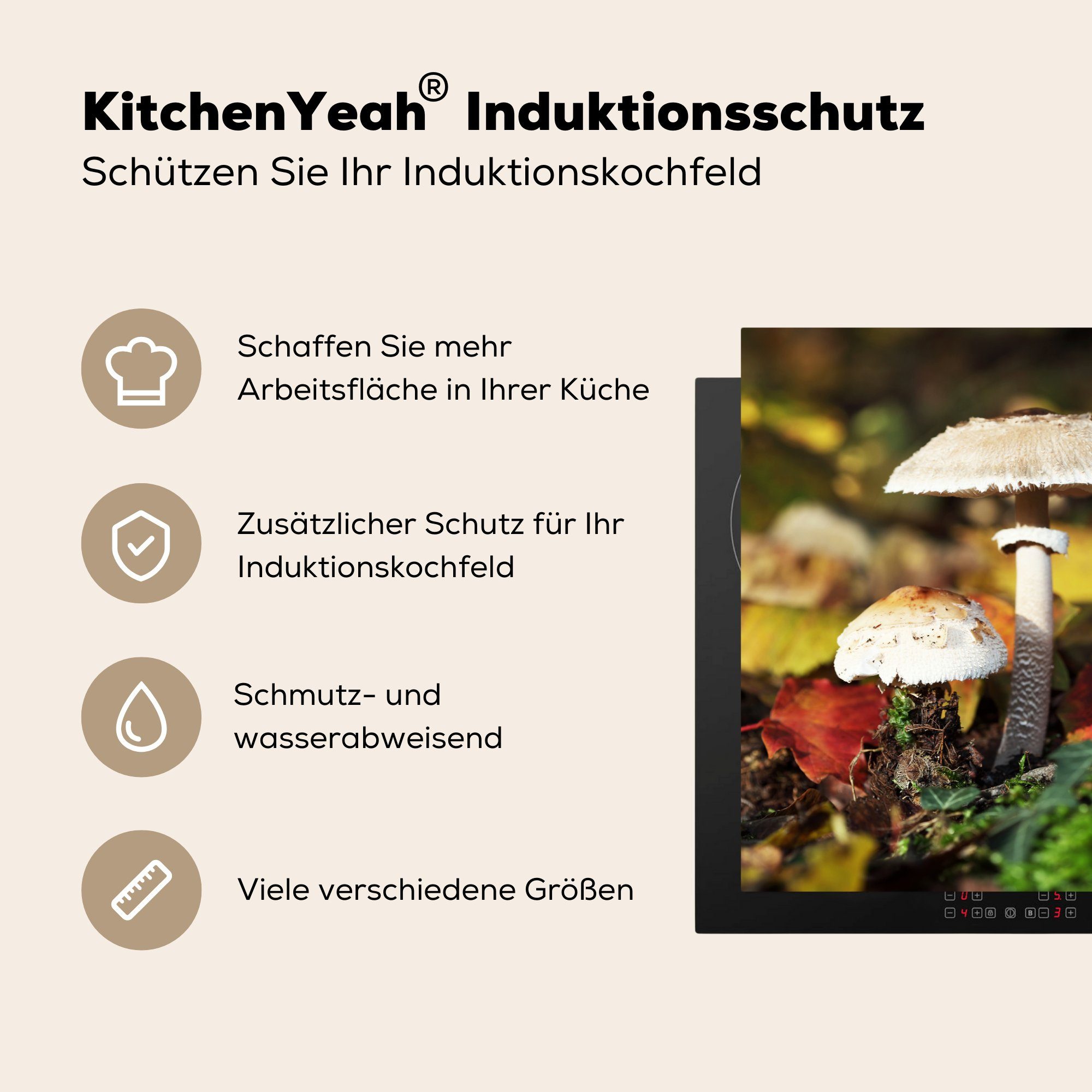 einem in die küche, Induktionskochfeld Pilze Ceranfeldabdeckung Herdblende-/Abdeckplatte cm, tlg), für Vinyl, 81x52 Schutz Wald, MuchoWow (1
