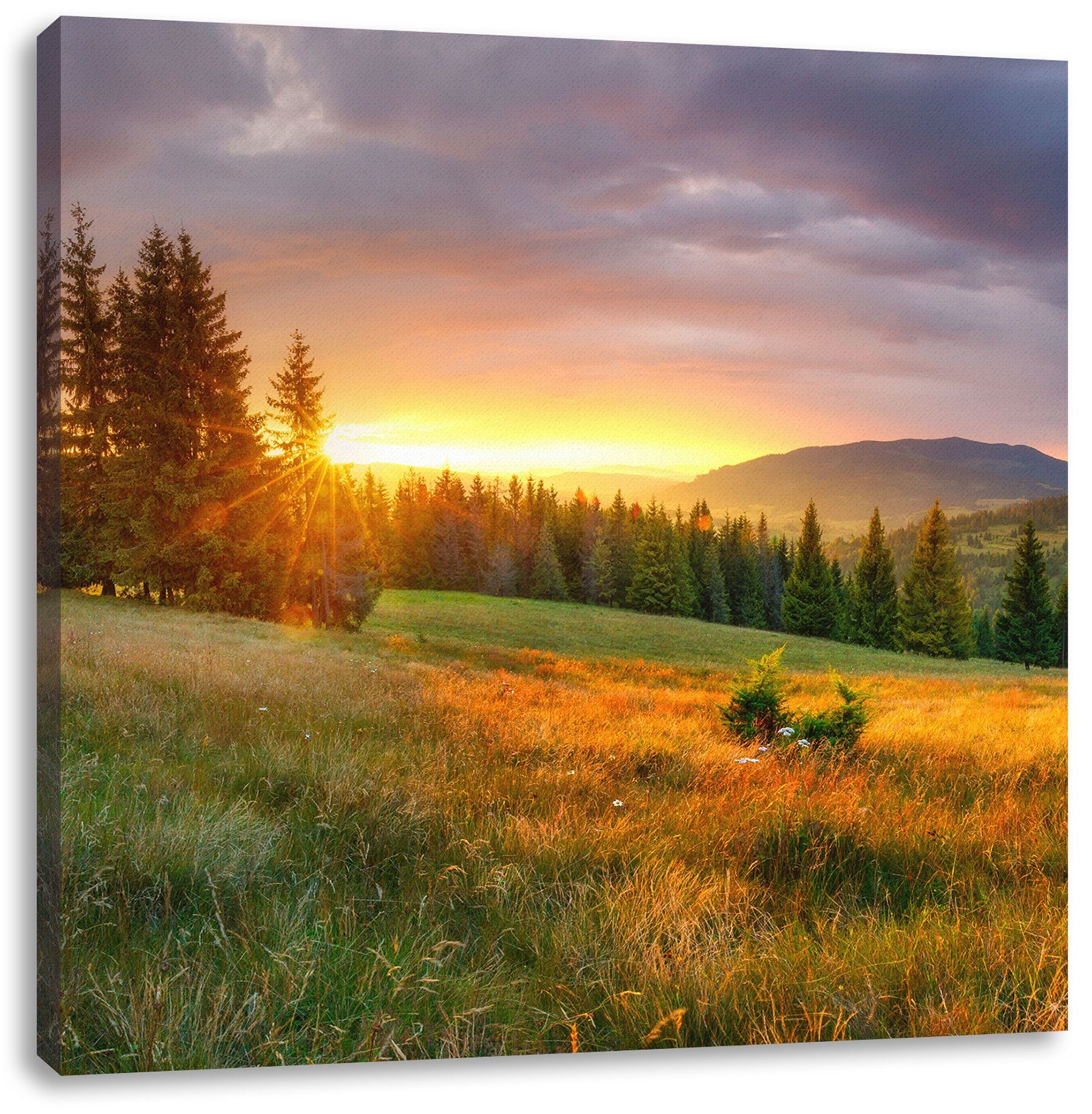 Pixxprint Leinwandbild Sonnenuntergang inkl. bei Sonnenuntergang, bei Leinwandbild fertig bespannt, St), Zackenaufhänger Wiesenlandschaft (1 Wiesenlandschaft