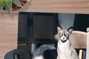 MuchoWow Gaming Mauspad Sonnenstrahlen auf der Sphynx-Katze (1-St), Mousepad mit Rutschfester Unterseite, Gaming, 40x40 cm, XXL, Großes
