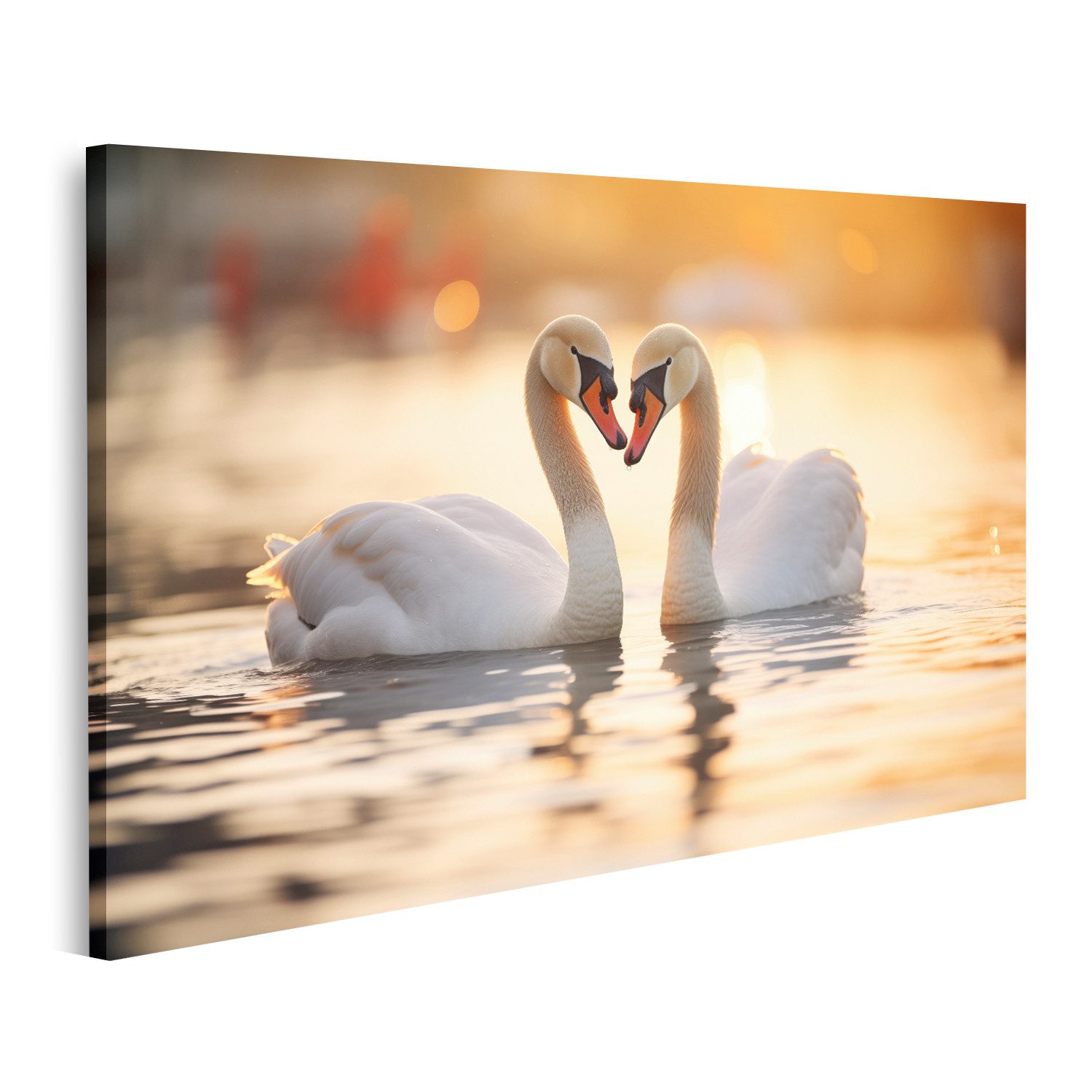 islandburner Leinwandbild Schwäne in der goldenen Stunde ihre Hälse bilden günstig online kaufen