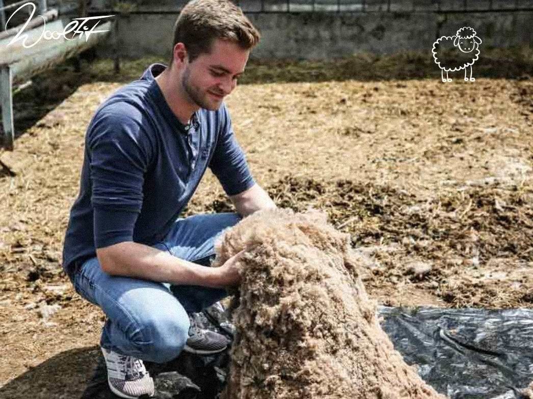 WoolFit Tundra Pantoffel für alle Jahreszeiten Hausschuh besonders leicht und flexibel