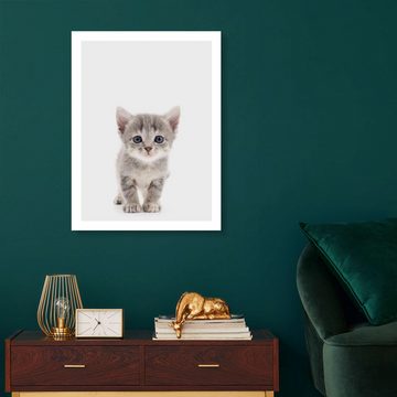Posterlounge Alu-Dibond-Druck Animal Kids Collection, Neugieriges Kätzchen, Kinderzimmer Skandinavisch Fotografie