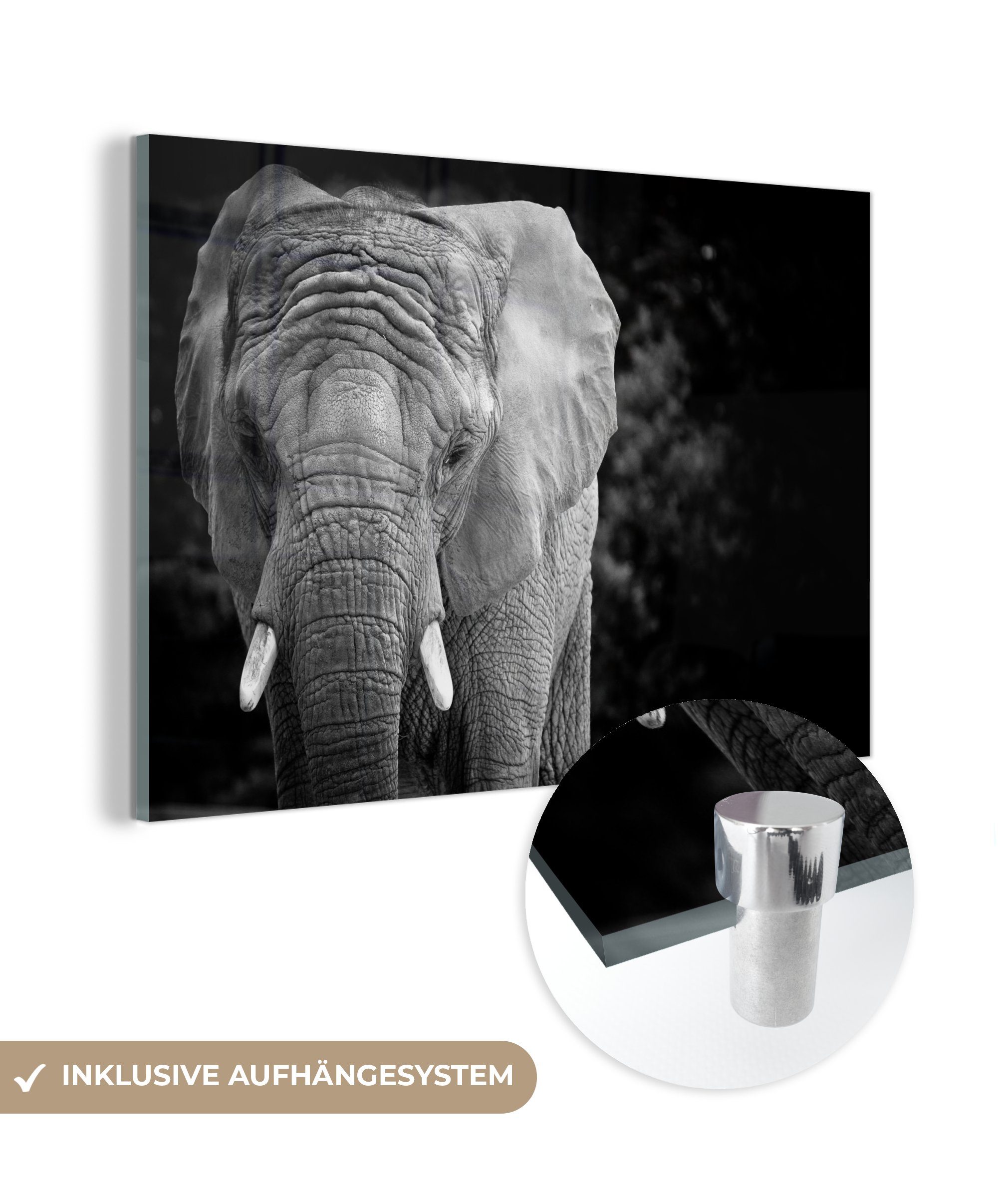 MuchoWow Acrylglasbild Porträt eines Elefanten in Schwarz und Weiß, (1 St), Acrylglasbilder Wohnzimmer & Schlafzimmer bunt