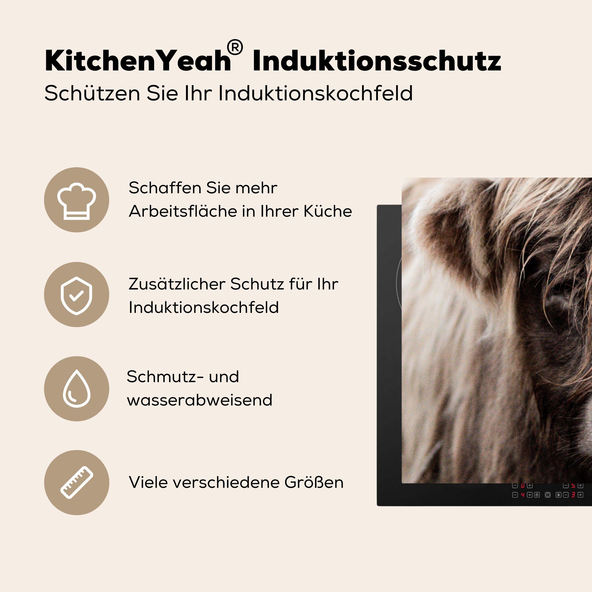 küche tlg), (1 Kuh, Ceranfeldabdeckung, - Vinyl, Schottische MuchoWow Herdblende-/Abdeckplatte für Highlander Schottischer Arbeitsplatte 78x78 cm,