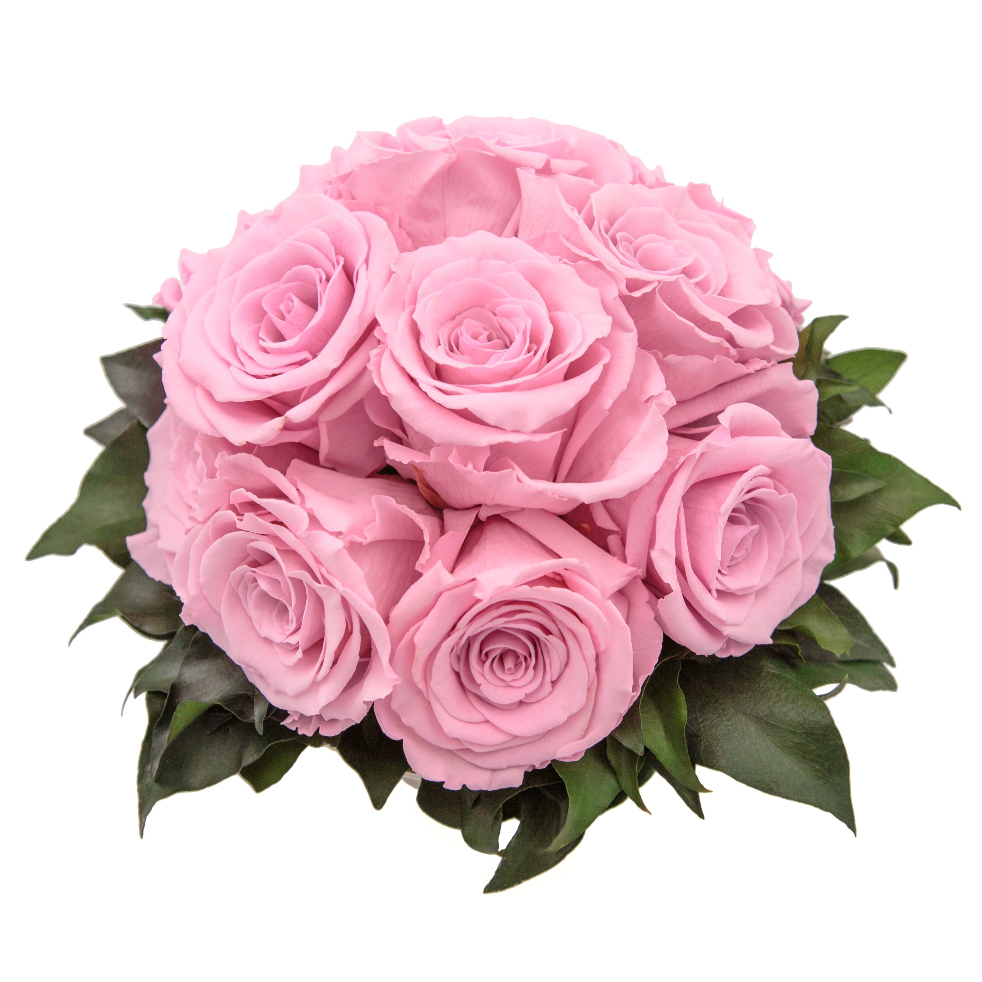 Gestecke Blumengesteck 11 Infinity Rosen in Blumenschale Blumenstrauß Rosenbox Rose, ROSEMARIE SCHULZ Heidelberg, Höhe 18 cm, Echte Blumen 3 Jahre haltbar, Geschenk für Frauen, Made in Germany