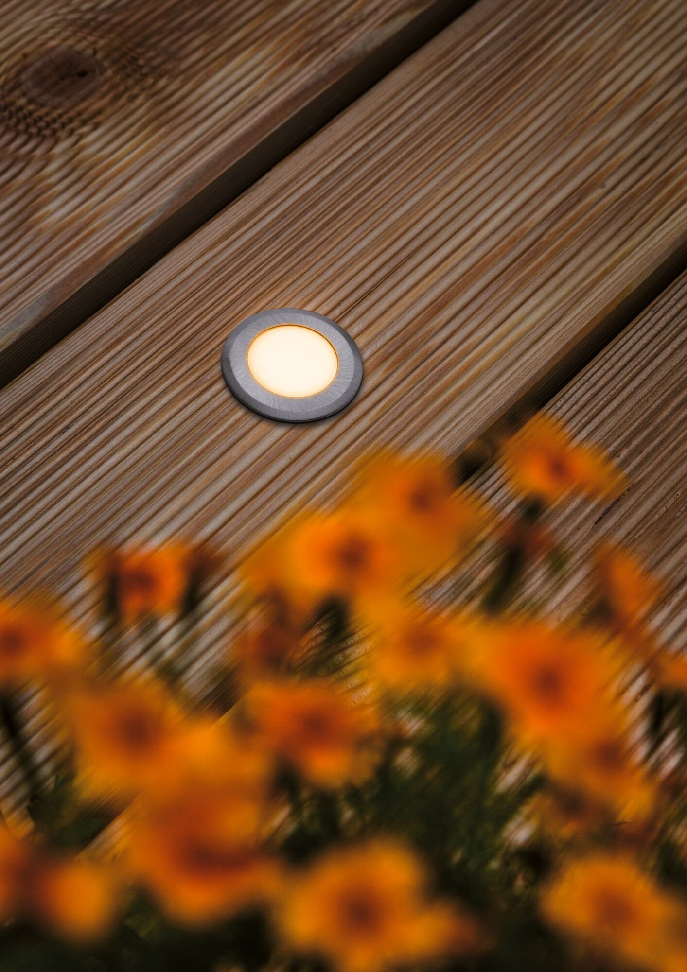 Paulmann LED Einbauleuchte IP65 rund 50mm 2200K 2,2W 60lm 230V Alu Kunststoff, Metall, LED fest integriert, Bodeneinbauleuchte Goldlicht insektenfreundlich
