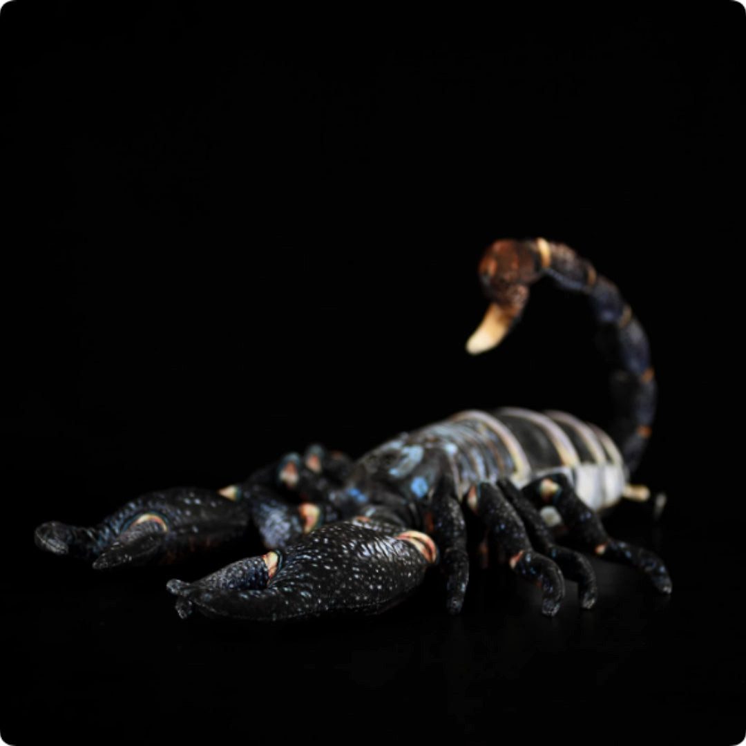 Tinisu Plüschfigur Skorpion Kuscheltier 48 cm – Realistisches Plüschtier Stofftier