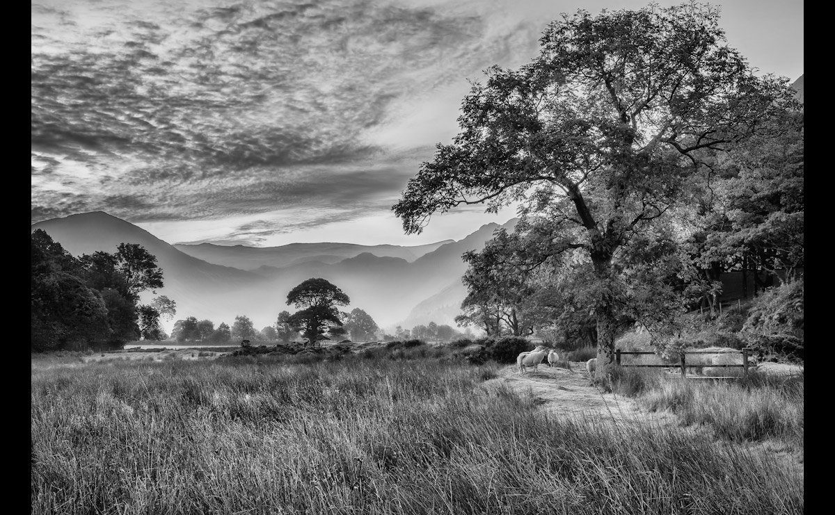 Fototapete Landschaft Schwarz & Weiß