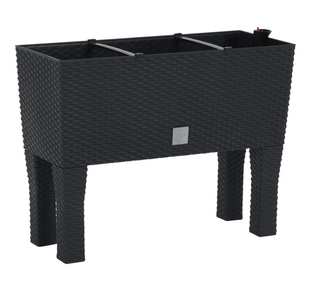 Thumbnail - vidaXL Hochbeet Hochbeet Anthrazit 60x25x46 cm PP-Rattan (1 St)