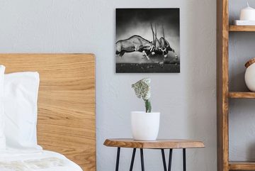 OneMillionCanvasses® Leinwandbild Antilope - Schwarz und weiß - Porträt - Wildtiere - Tiere, (1 St), Leinwand Bilder für Wohnzimmer Schlafzimmer