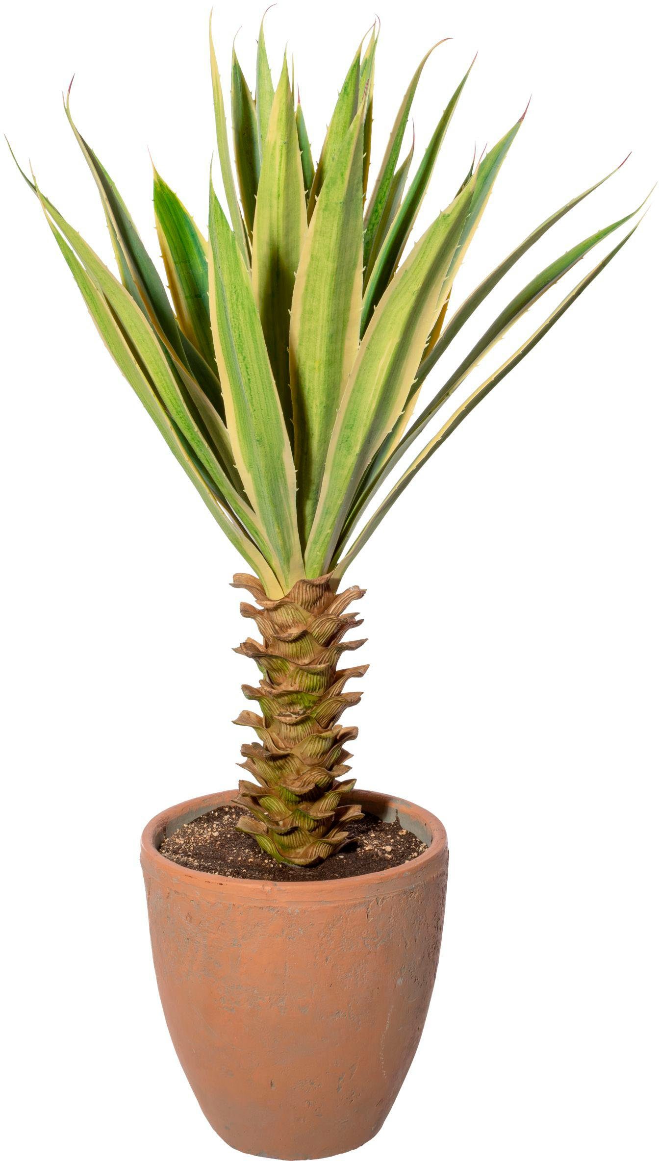 Künstliche Zimmerpflanze Yucca im Terracottatopf Sukkulente, Creativ