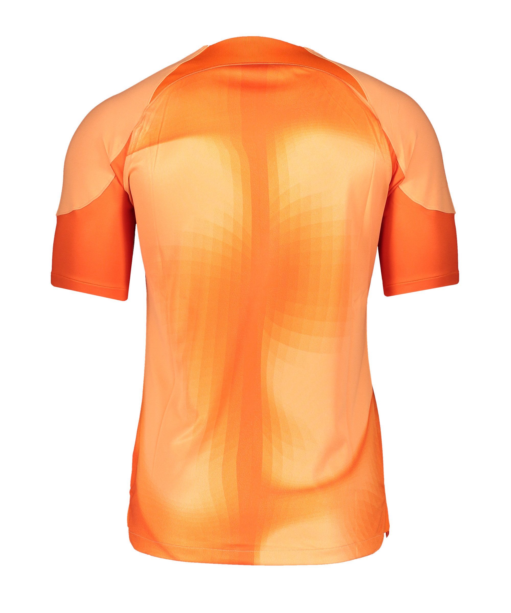 Nike Fußballtrikot Gardien IV Torwarttrikot Teamsport günstig online kaufen
