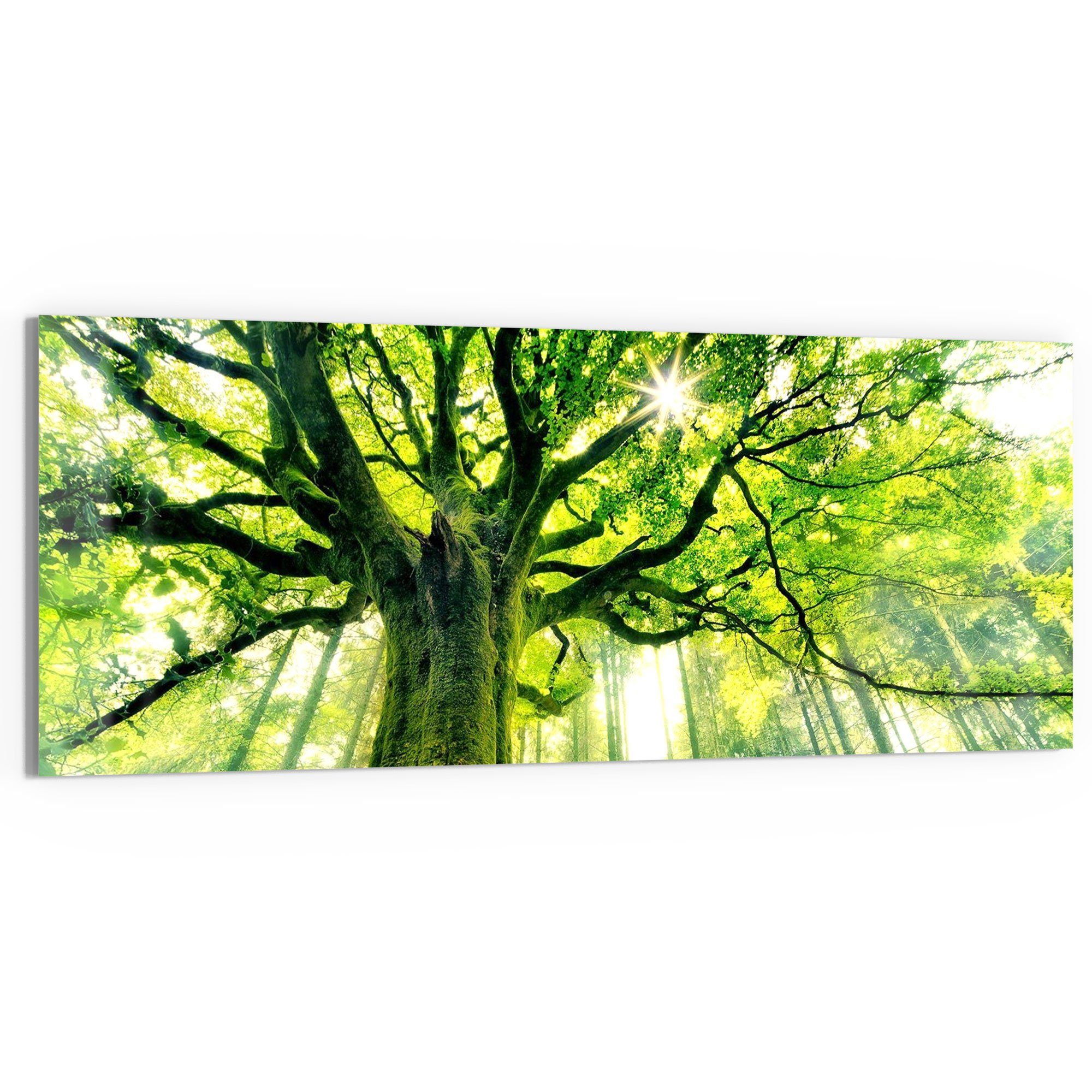 DEQORI Glasbild 'Eindrucksvoller Baum', 'Eindrucksvoller Baum', günstig online kaufen