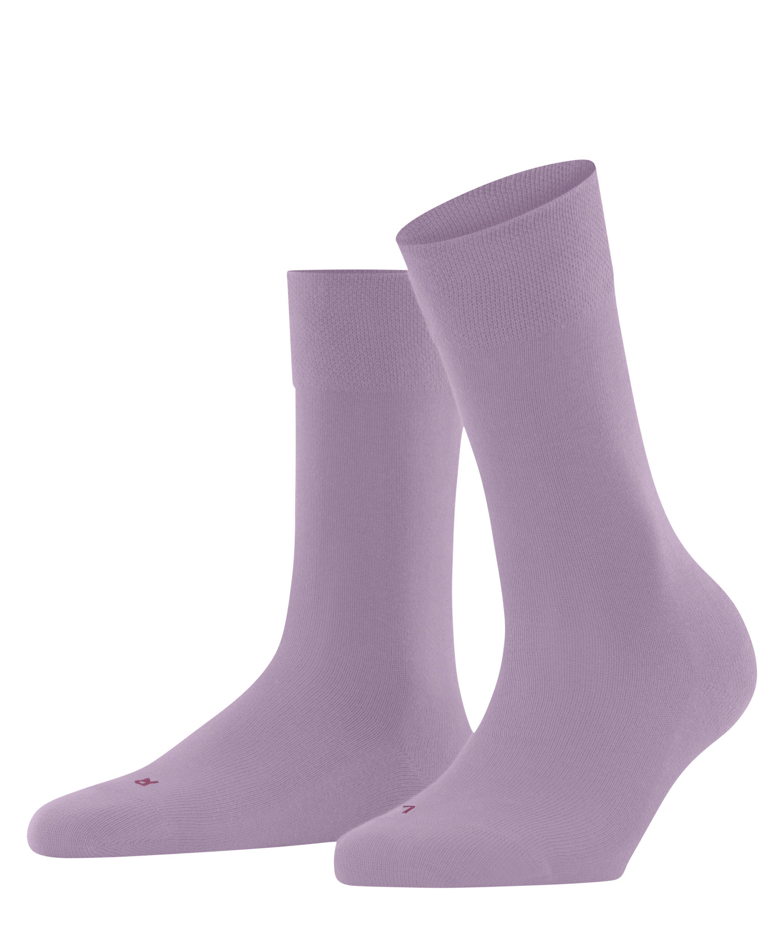 misty lila (8972)