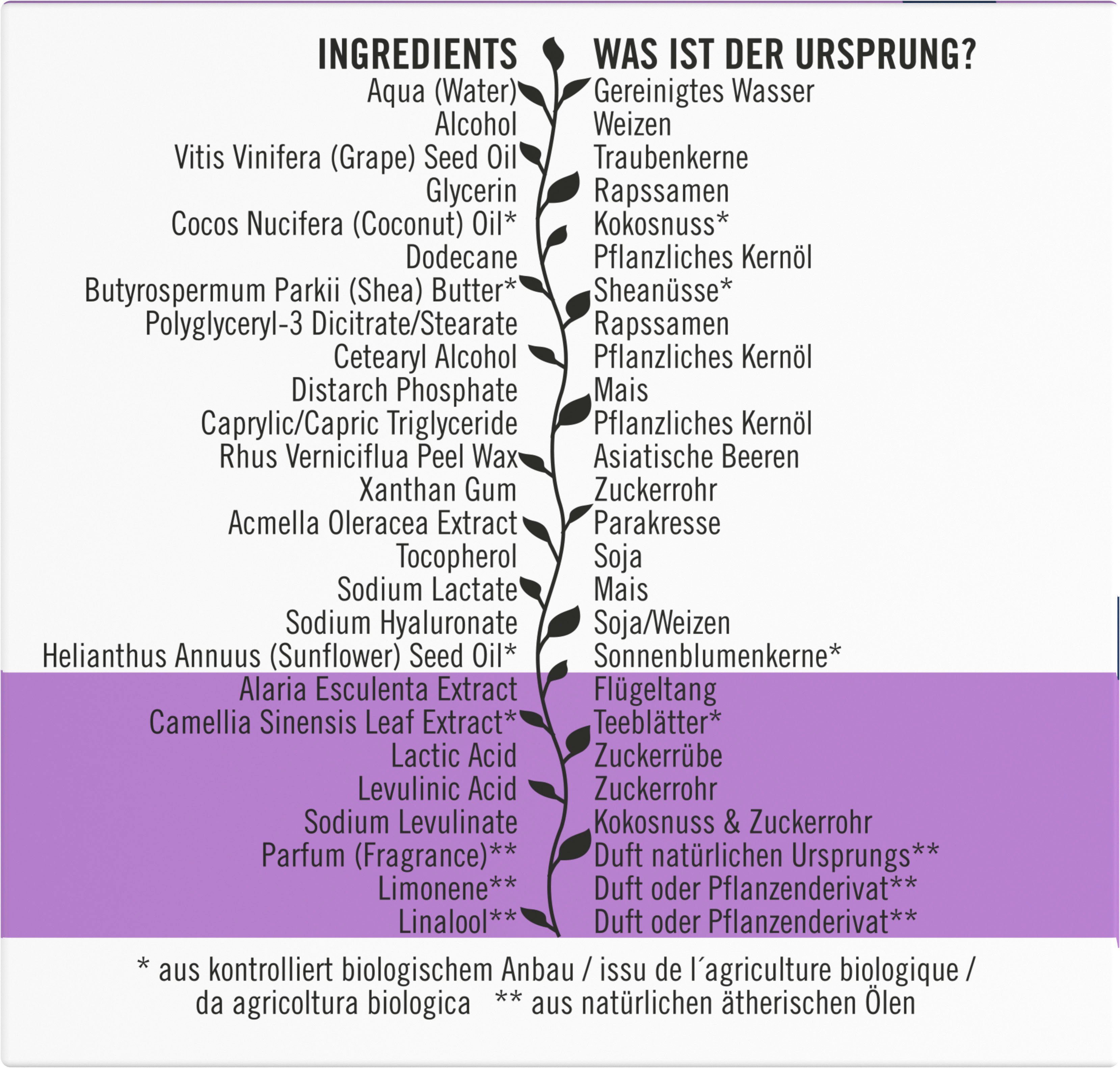 SANTE Gesichtspflege Sofort glättende Nachtpflege