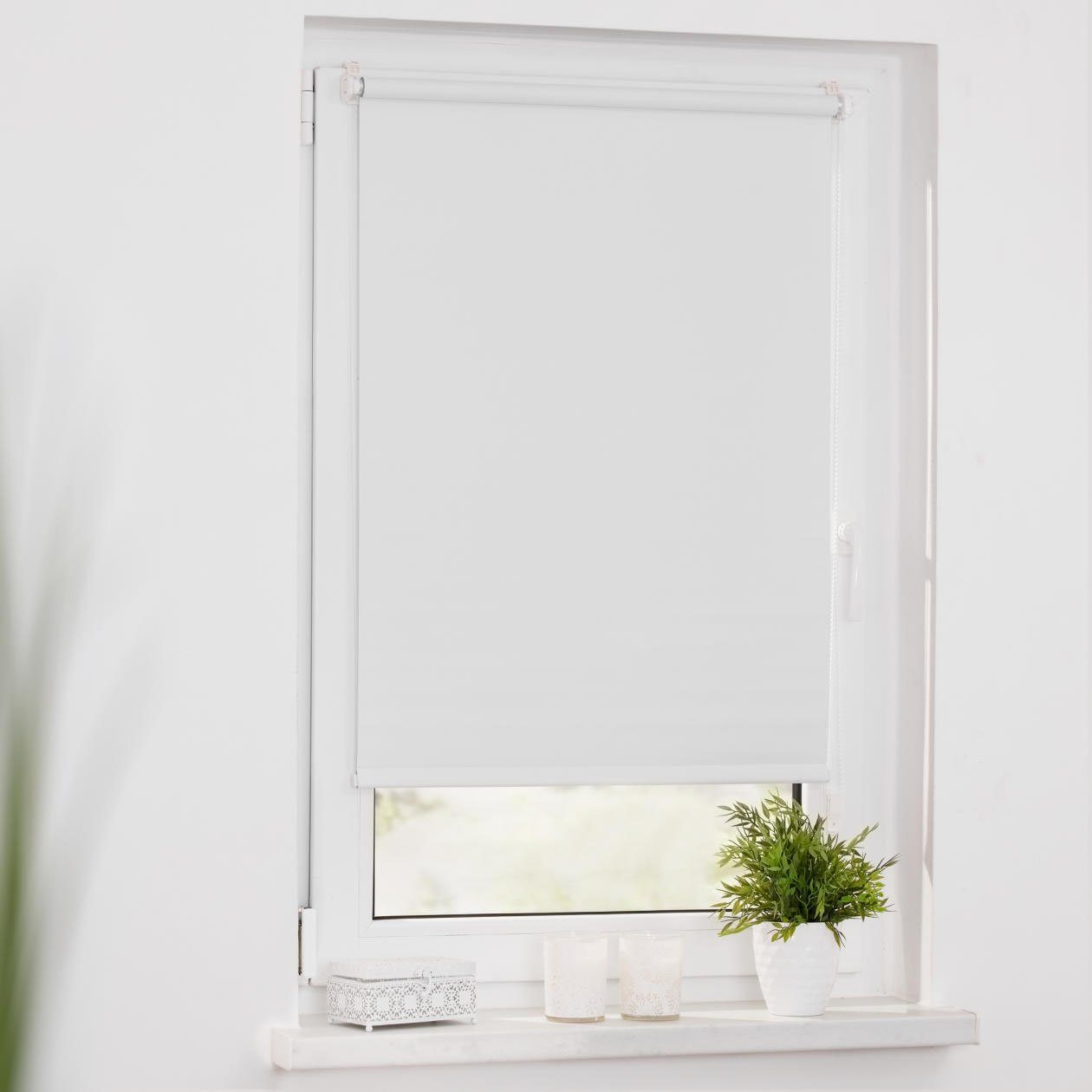 Seitenzugrollo Uni Rollo, LICHTBLICK ORIGINAL, verdunkelnd, günstig online kaufen