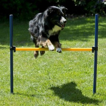 Procyon Agility-Slalom Dog Agility XXL Set