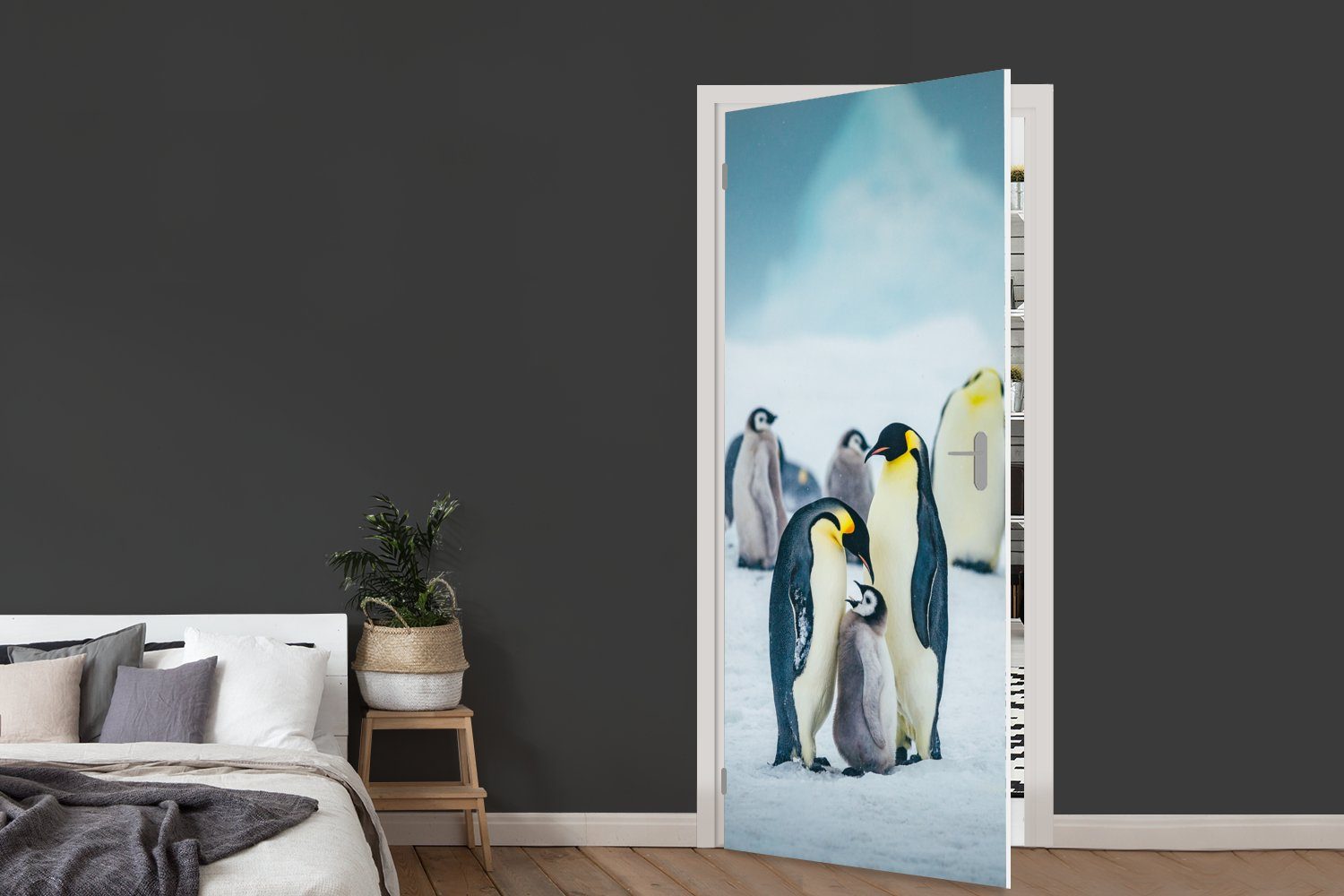 Tür, für bedruckt, 75x205 Fototapete wird Matt, MuchoWow St), Türtapete Kaiserpinguin-Küken gefüttert, cm Türaufkleber, (1