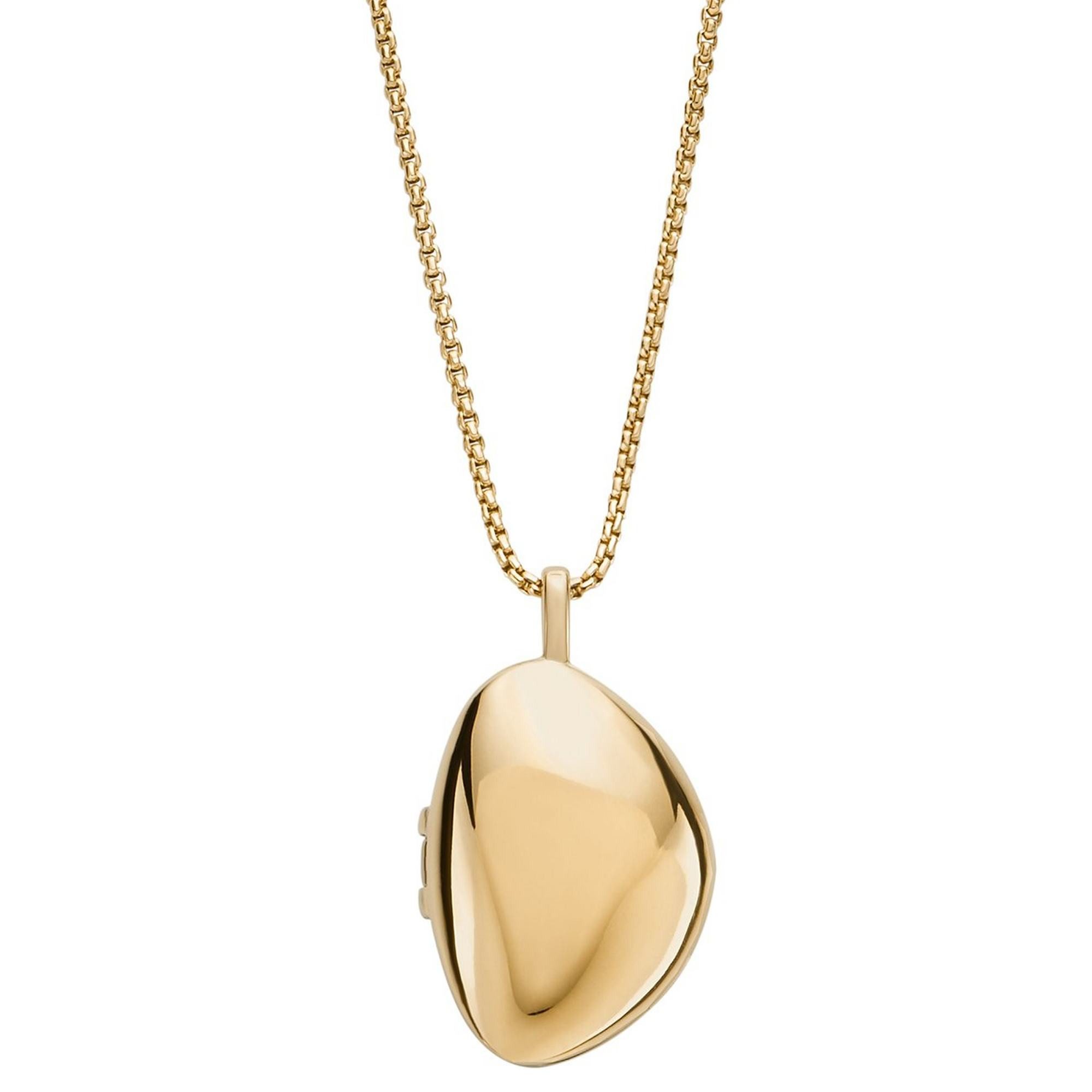 SKAGEN Kette mit Anhänger SKJ1752710 günstig online kaufen