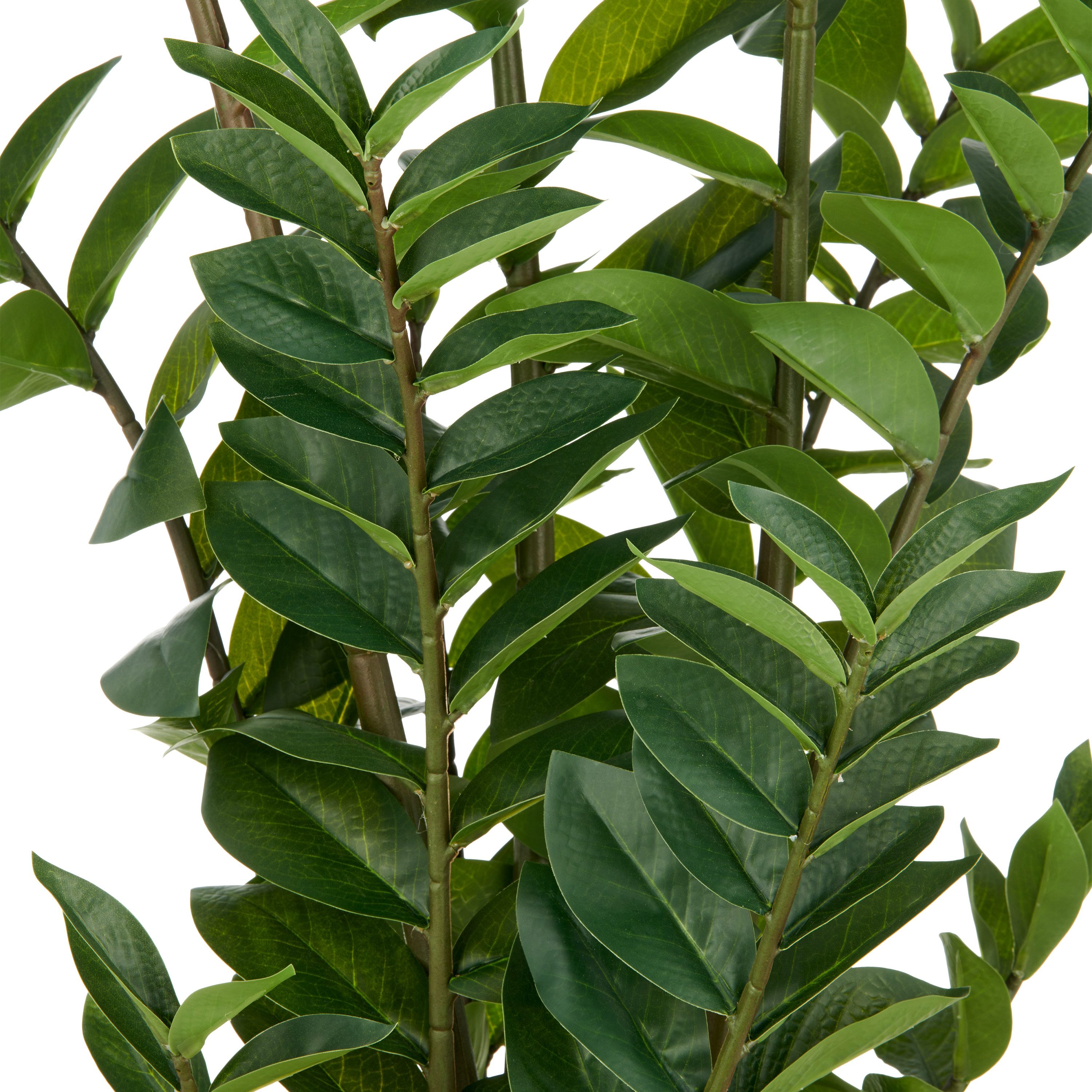 Kunstpflanze Zamifolia, Creativ green, Höhe 110 cm, mit detailgetreuer Gest günstig online kaufen