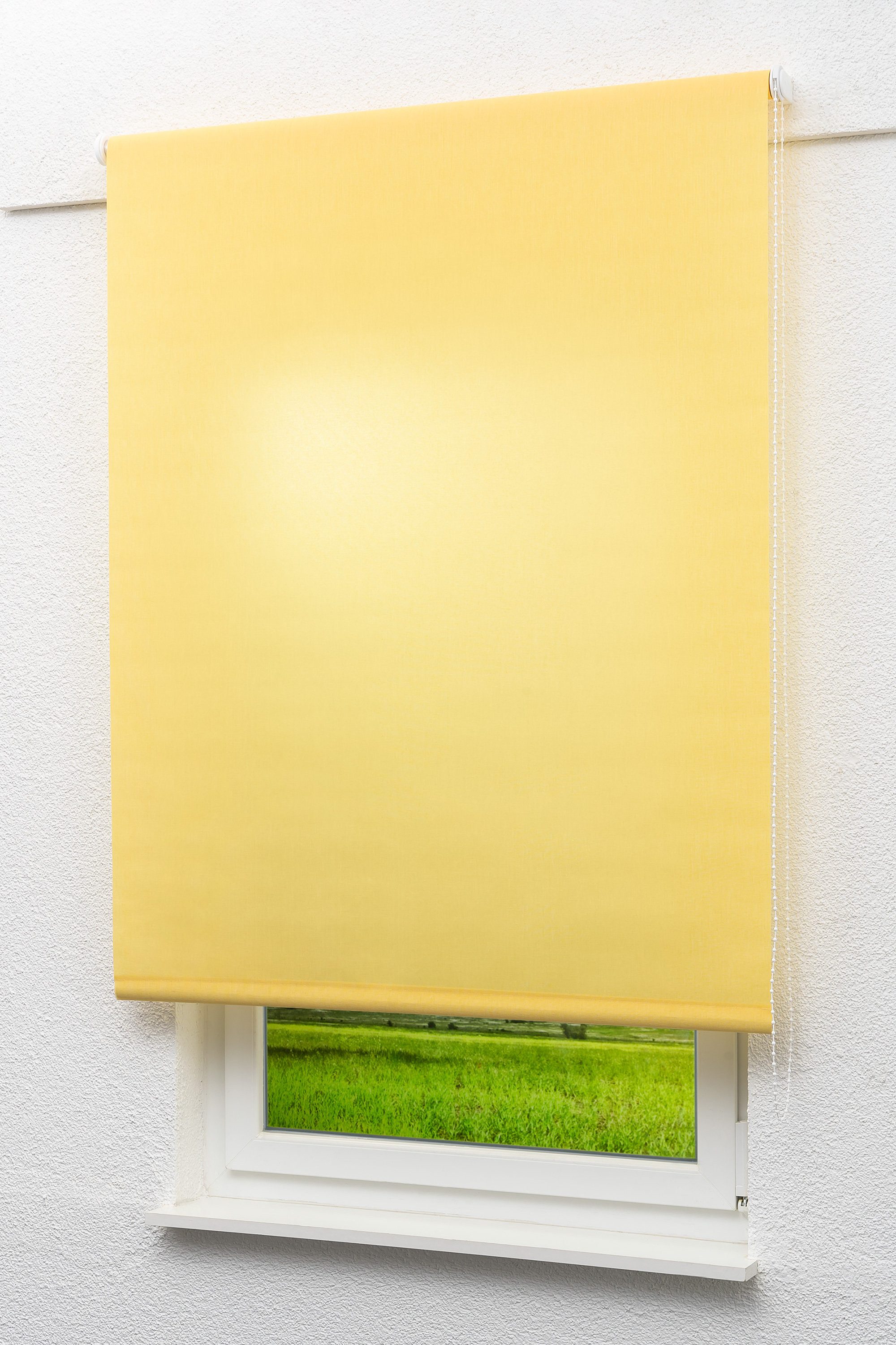 Rollo Basisrollo Tageslicht Pastellgelb, LYSEL®, blickdicht, HxB 240x92.5cm
