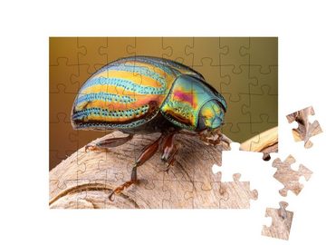 puzzleYOU Puzzle Bunter Rosmarinkäfer auf einem Zweig, 48 Puzzleteile, puzzleYOU-Kollektionen Käfer, Insekten & Kleintiere