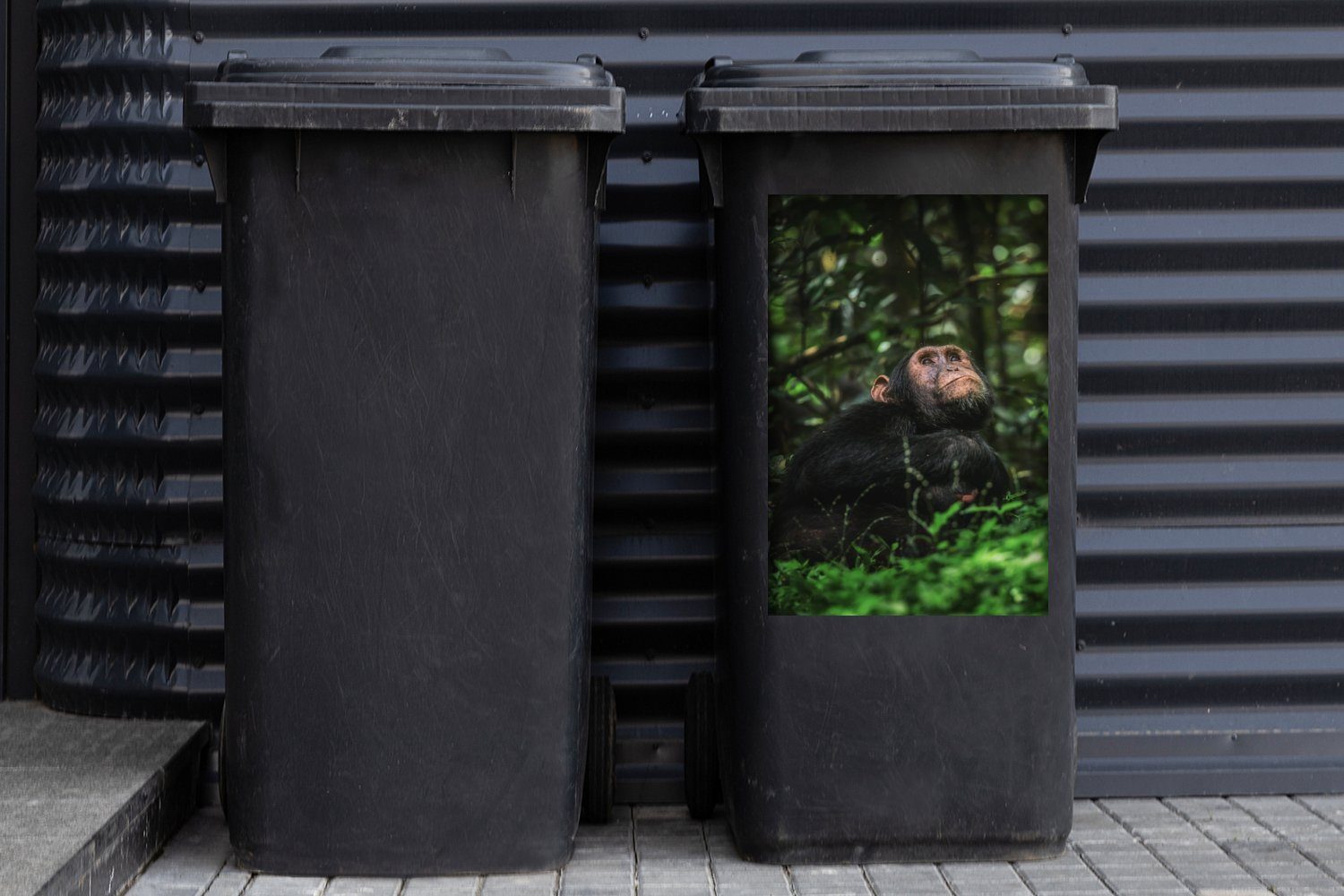 Dschungel im Container, zwischen App Mülltonne, Abfalbehälter (1 Wandsticker Sticker, Mülleimer-aufkleber, MuchoWow Grünpflanzen St),