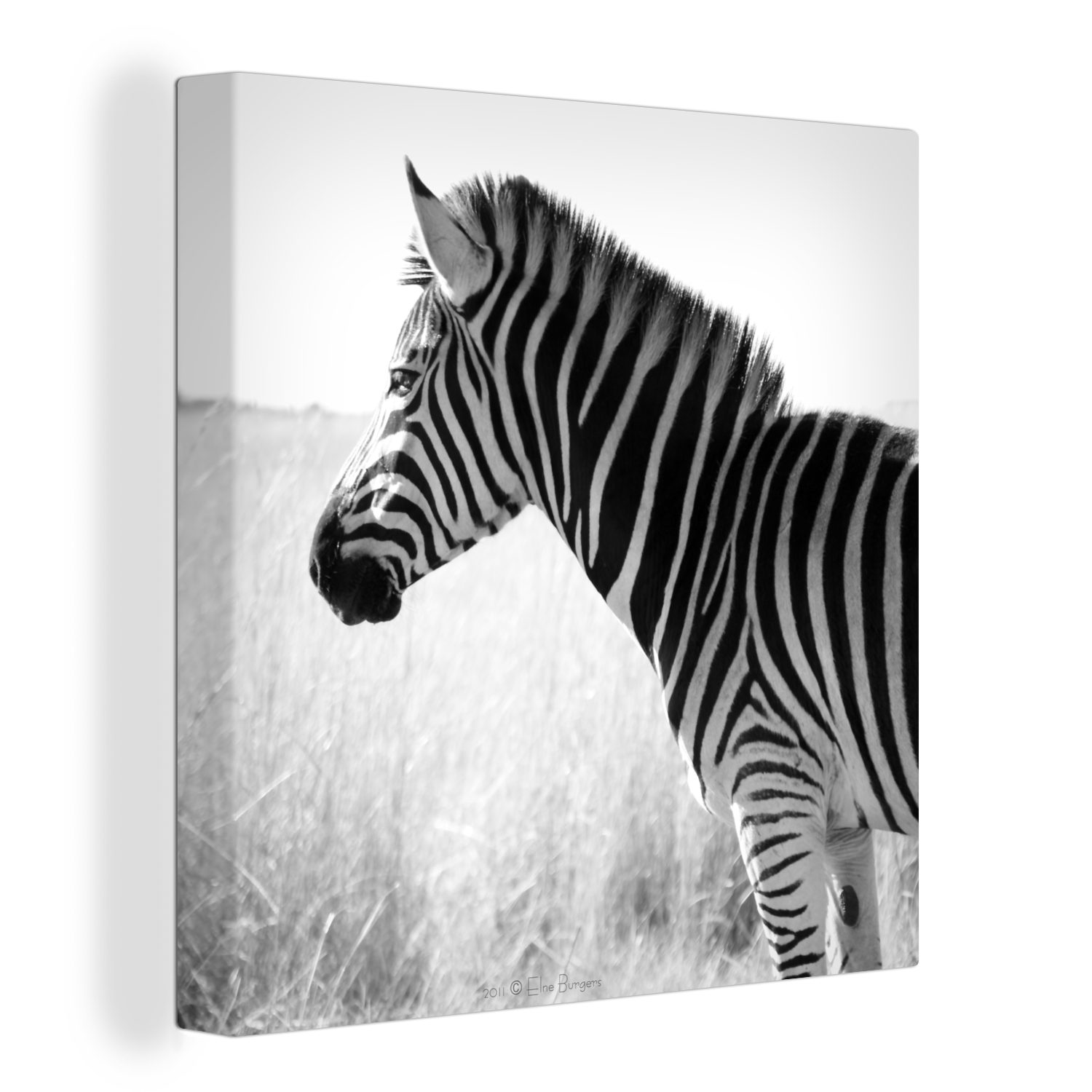 OneMillionCanvasses® Leinwandbild Zebra im hohen Gras, (1 St), Leinwand Bilder für Wohnzimmer Schlafzimmer