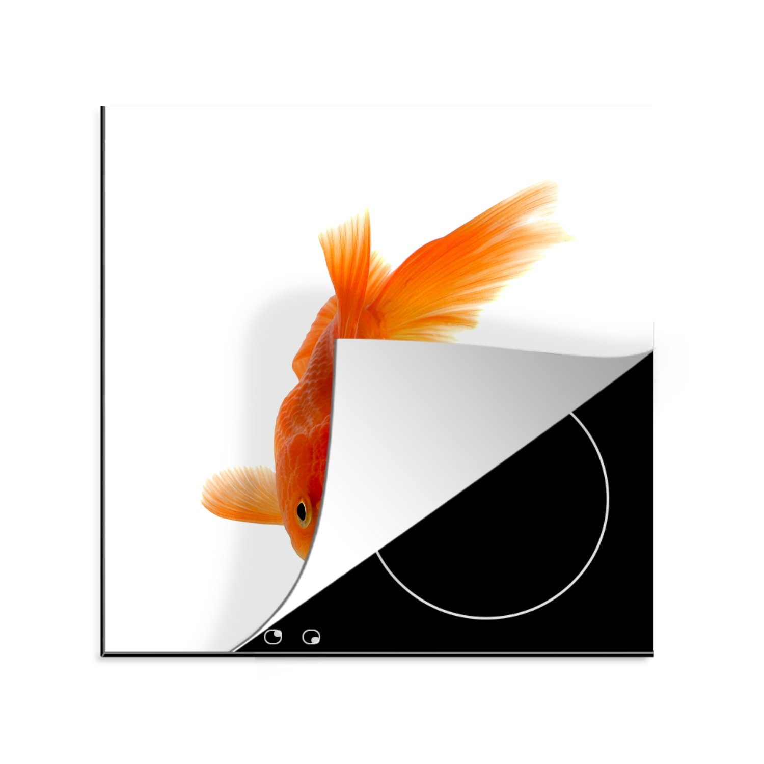 MuchoWow Herdblende-/Abdeckplatte Goldfisch - Meerestiere - Orange, Vinyl, (1 tlg), 78x78 cm, Ceranfeldabdeckung, Arbeitsplatte für küche | Herdabdeckplatten