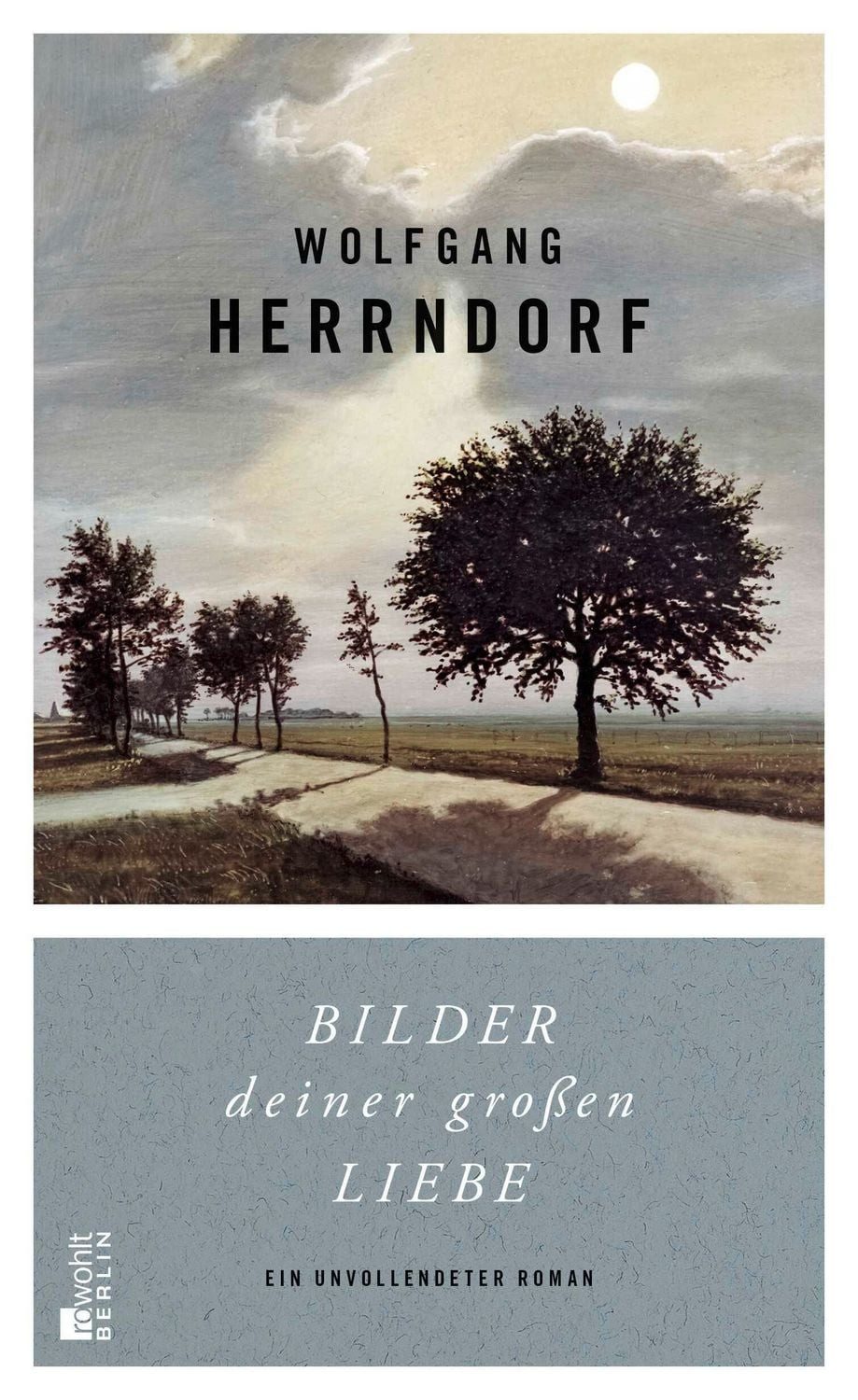 Bilder deiner großen Liebe / Wolfgang Herrndorf