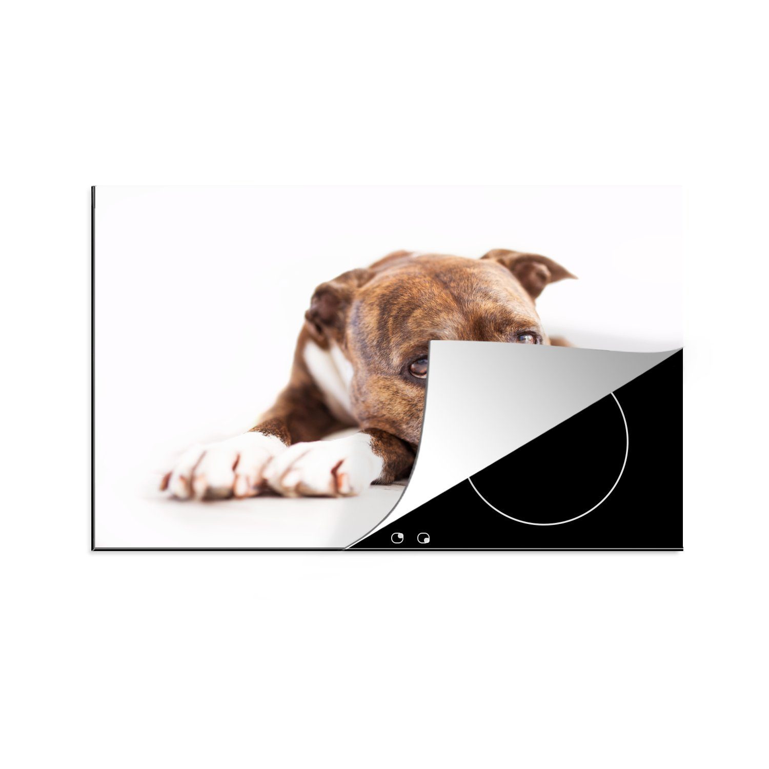 MuchoWow Herdblende-/Abdeckplatte Liegender Hund Fotodruck, Vinyl, (1 tlg), 81x52 cm, Induktionskochfeld Schutz für die küche, Ceranfeldabdeckung