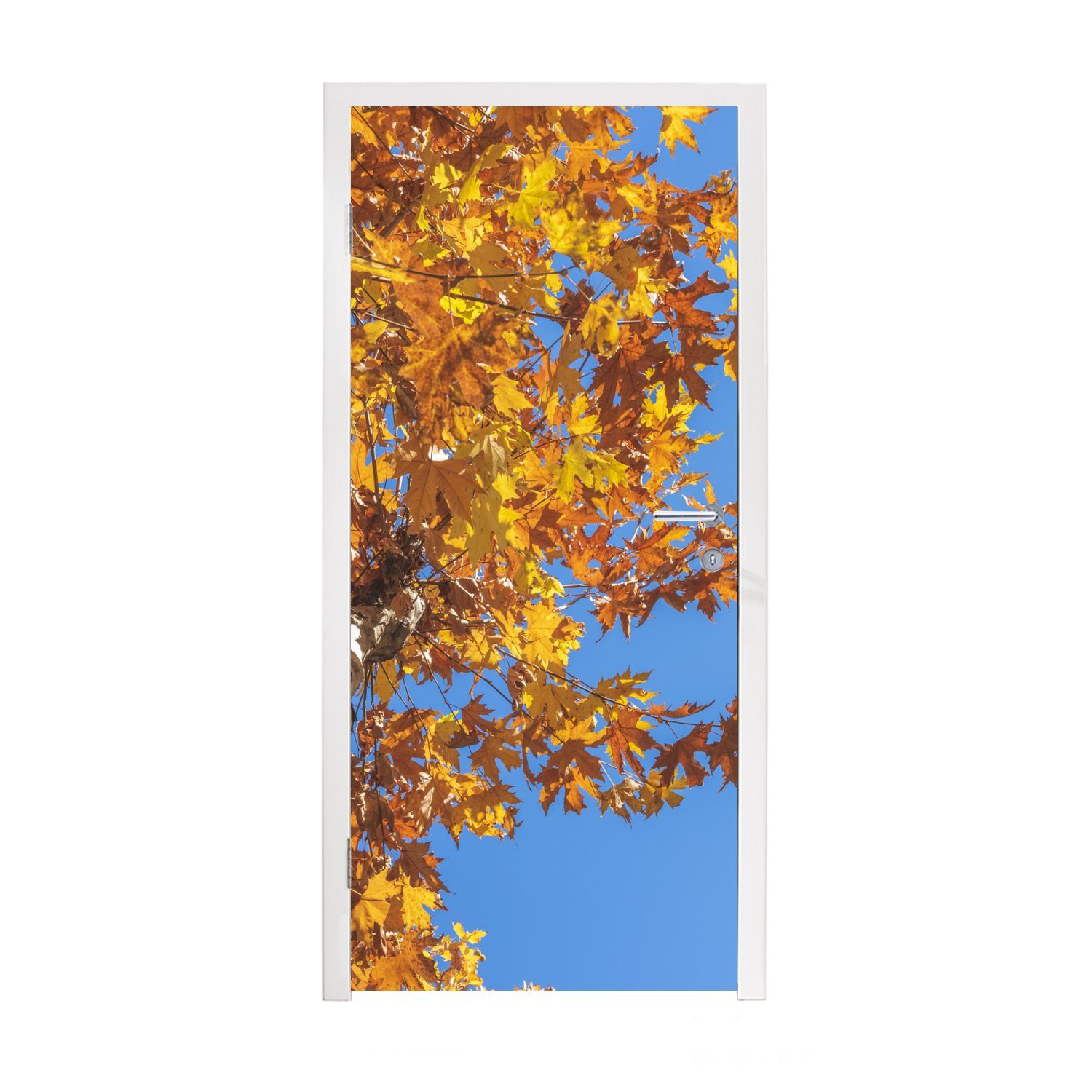 MuchoWow Türtapete Herbst - Bäume - Orange, Matt, bedruckt, (1 St), Fototapete für Tür, Türaufkleber, 75x205 cm