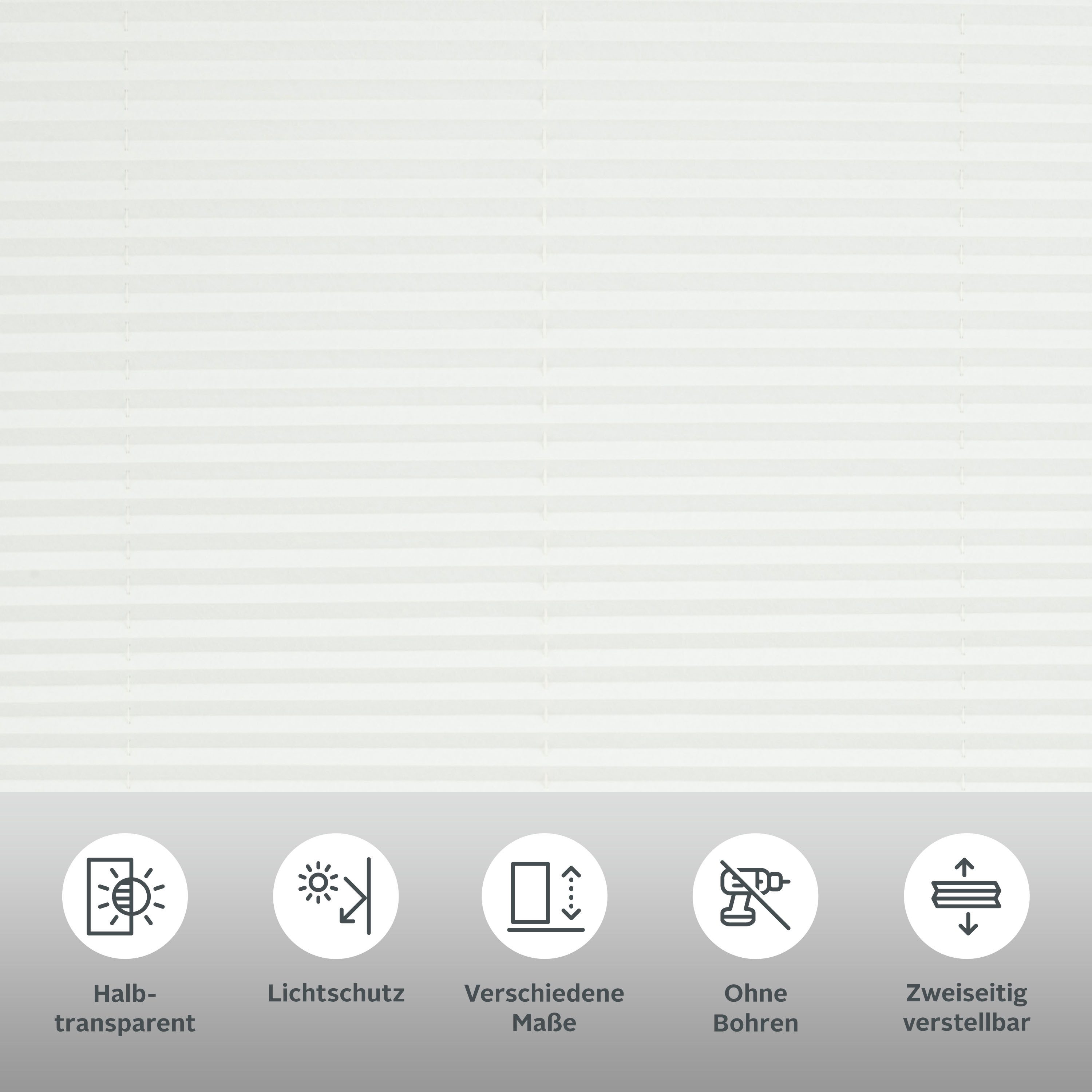 my home Plissee DAHRA - in Crush-Optik, Lichtschutz, ohne Bohren, verspannt, Klemmfix, Fixmaß, Bestseller mit über 5500 4,5-Sterne-Bewertungen, Klemmträger