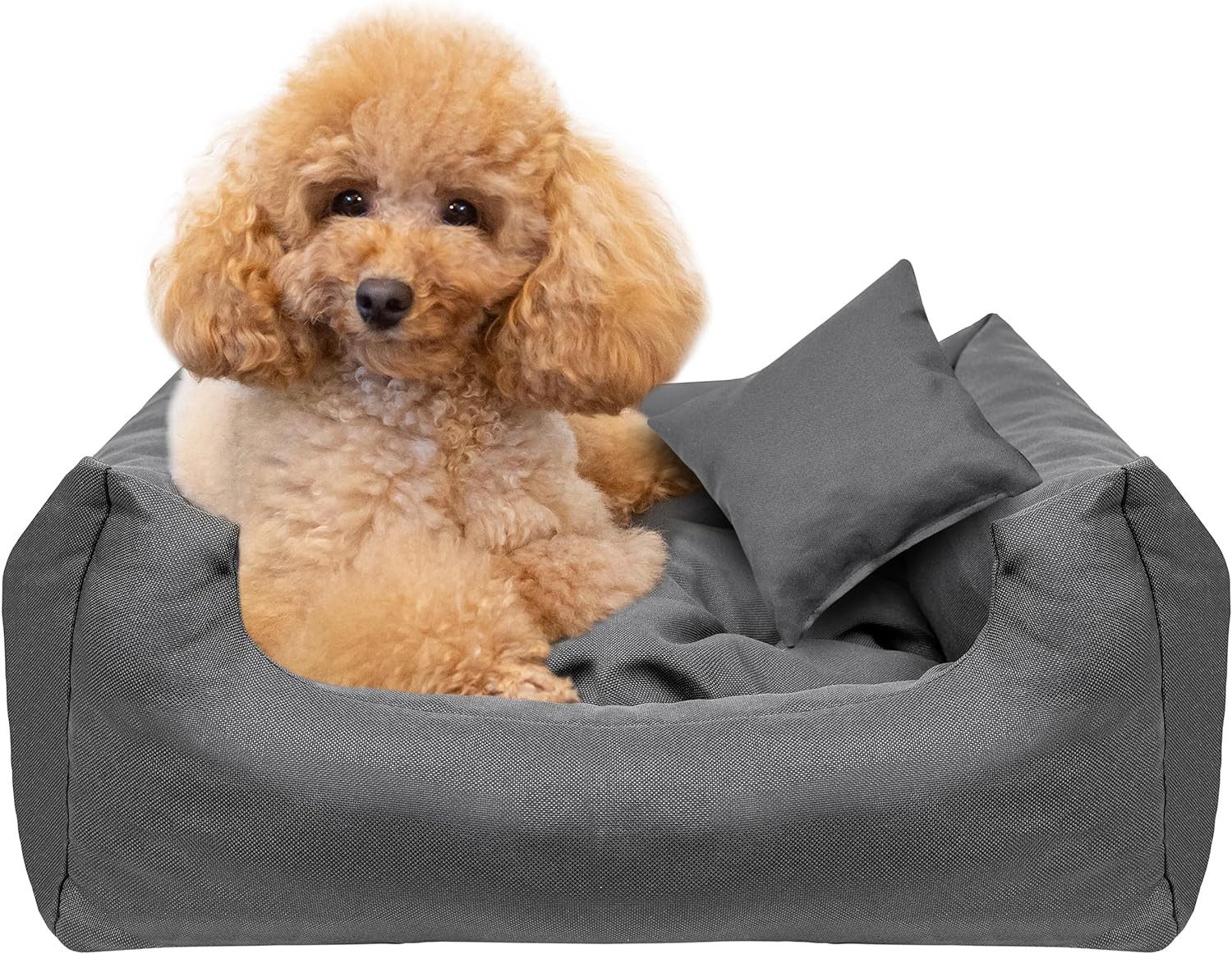 Creative Pets Tiersofa Hundebett Grau Höhe 19 cm Hundekorb Katzenbett, kleines Kissen