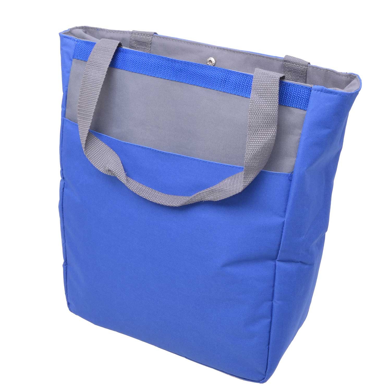 Diedrich Filmer GmbH Gepäckträgertasche Kühltasche isoliert 20L Fahrradtasche Blau (Set, Kühltasche mit Halterung), Tasche Gepäckträgertasche für Fahrrad Gepäckträger Bike E-Bike eBike