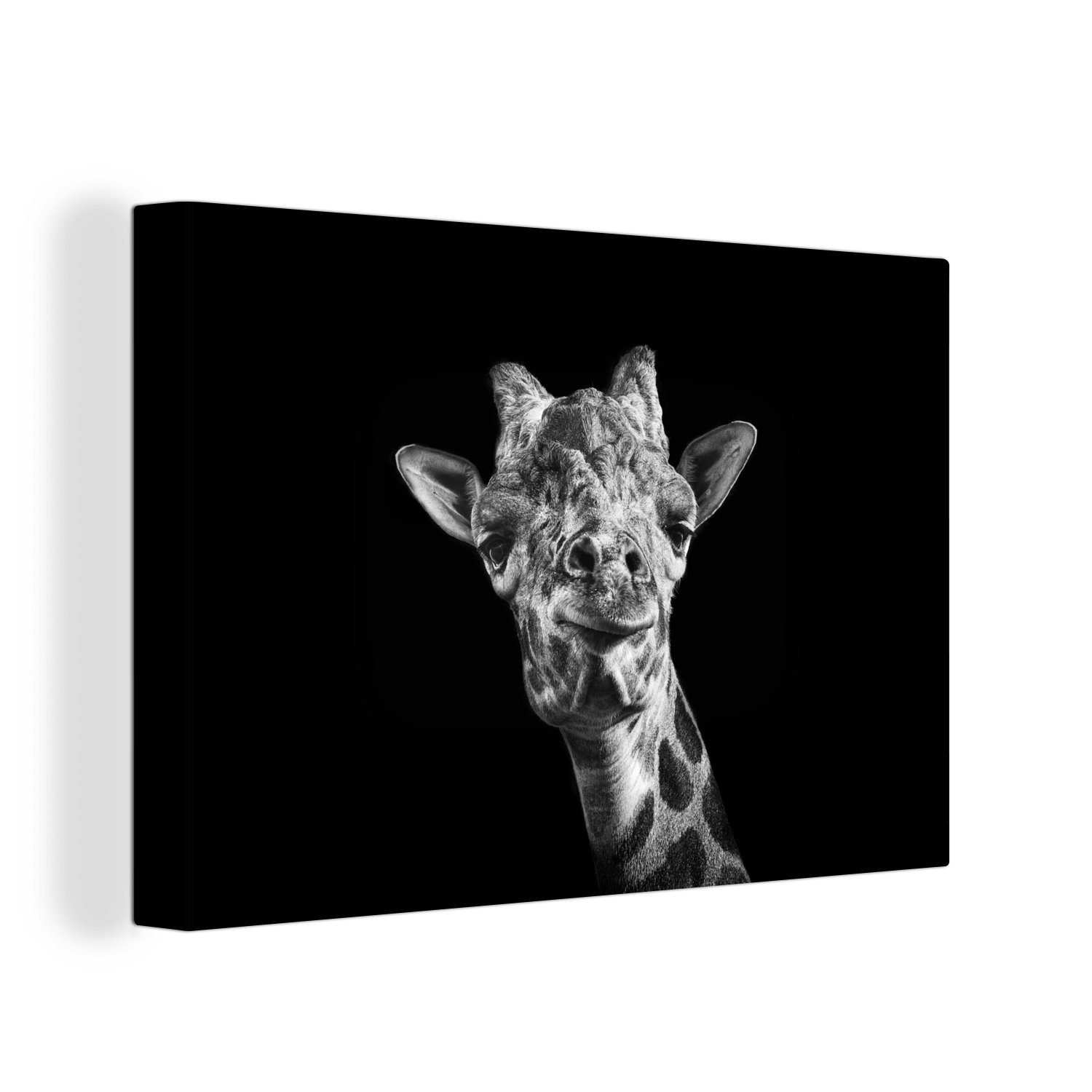 OneMillionCanvasses® Leinwandbild Giraffe in schwarz-weiß auf schwarzem Hintergrund abgebildet, (1 St), Wandbild Leinwandbilder, Aufhängefertig, Wanddeko, 30x20 cm
