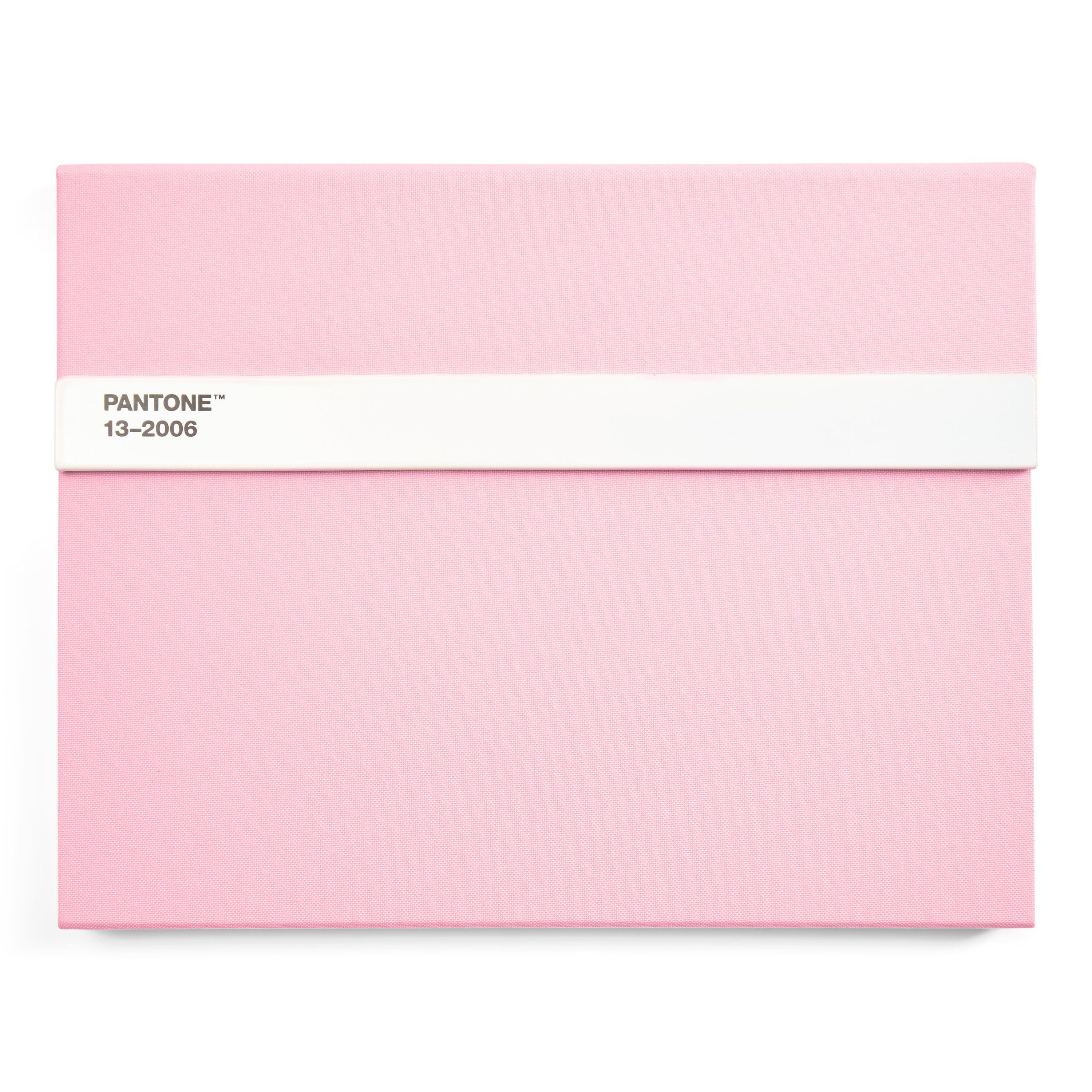 Light PANTONE 13-2006 Notizbuch Pink