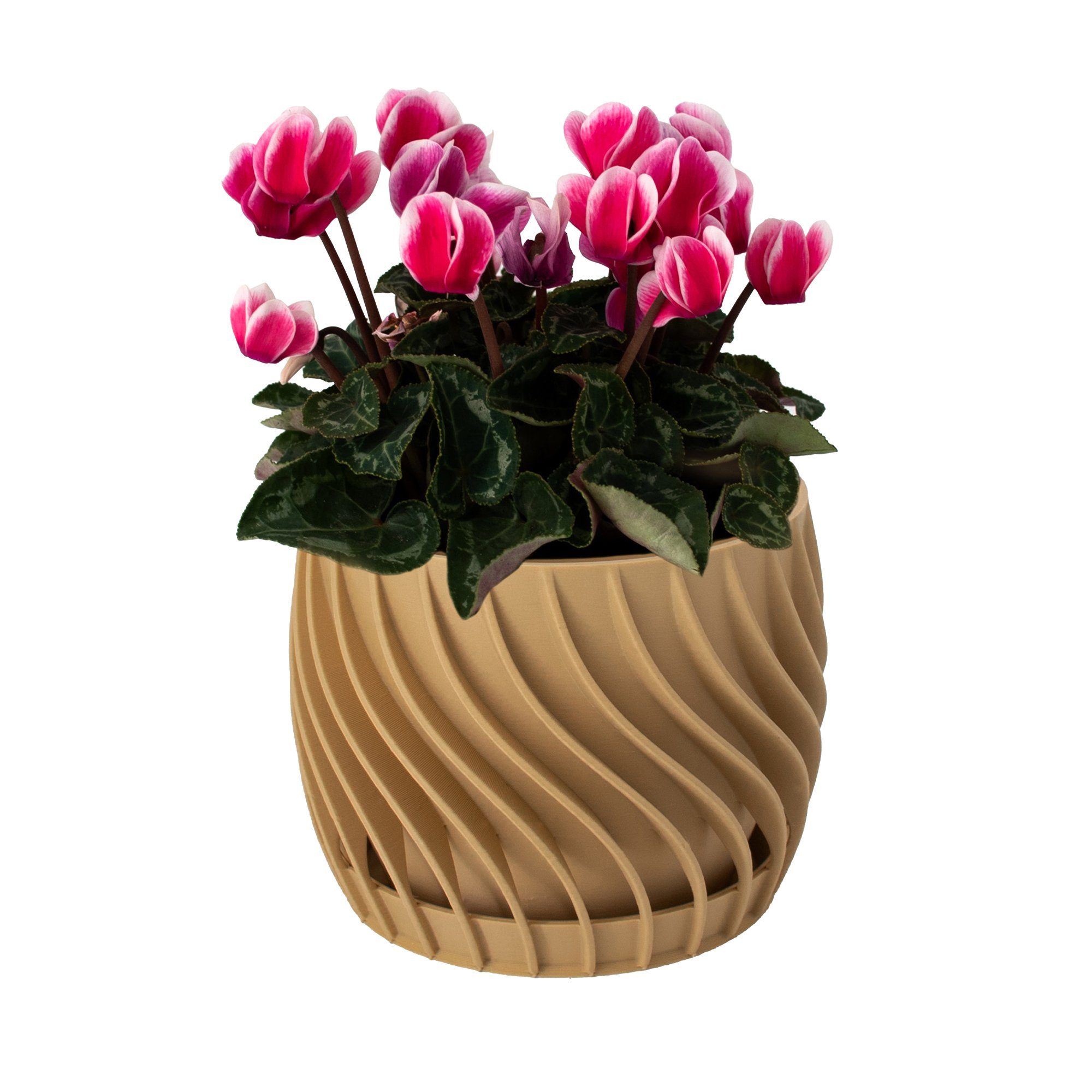 Shapes - Decorations Blumentopf the plate pot - Blumentopf mit integriertem Unterteller, 100% 3D-Druck (Einzelmodell, 1 x Blumentopf mit integriertem Untersetzer), Spiraloptik erdnussbraun