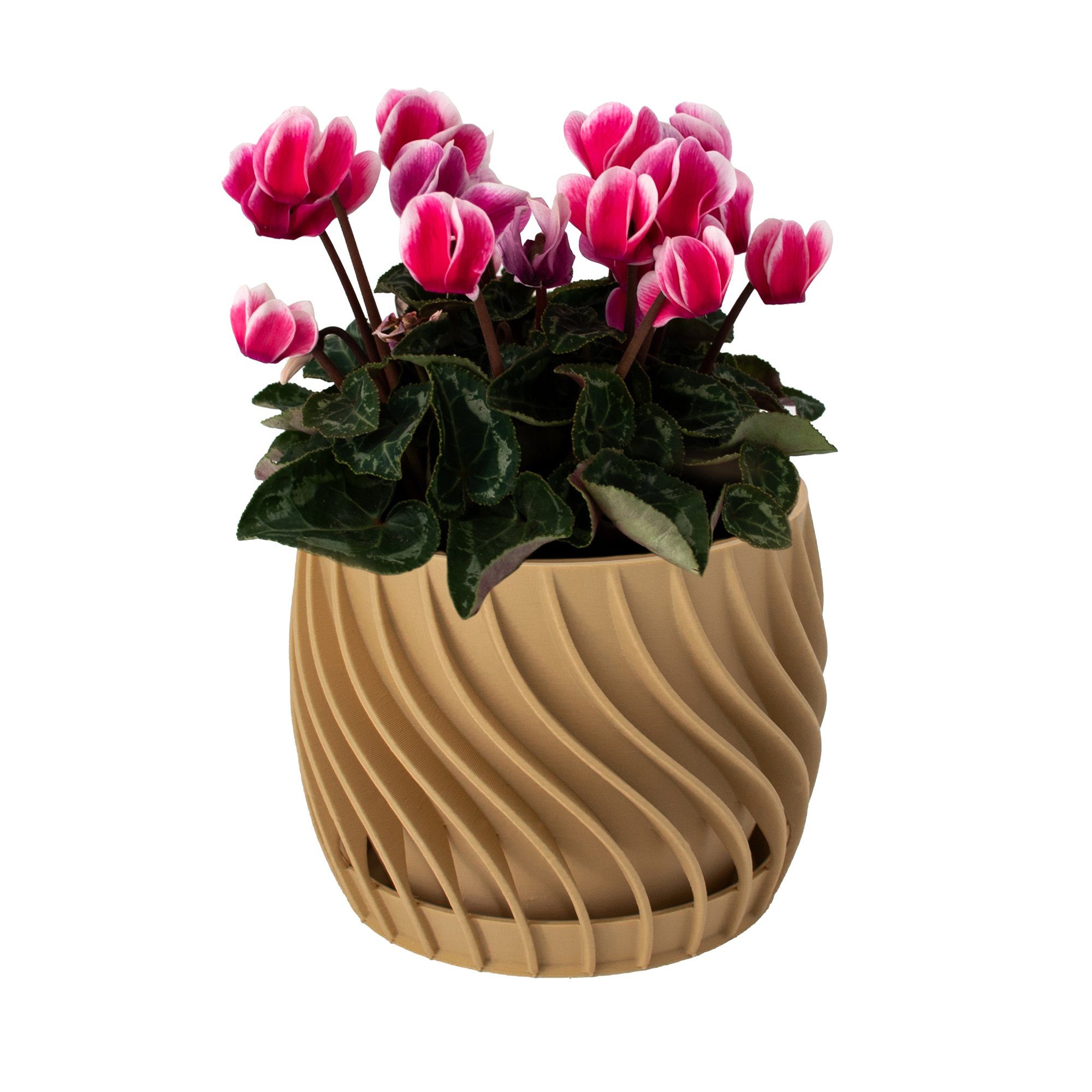 Shapes Decorations Blumentopf the plate pot Blumentopf mit