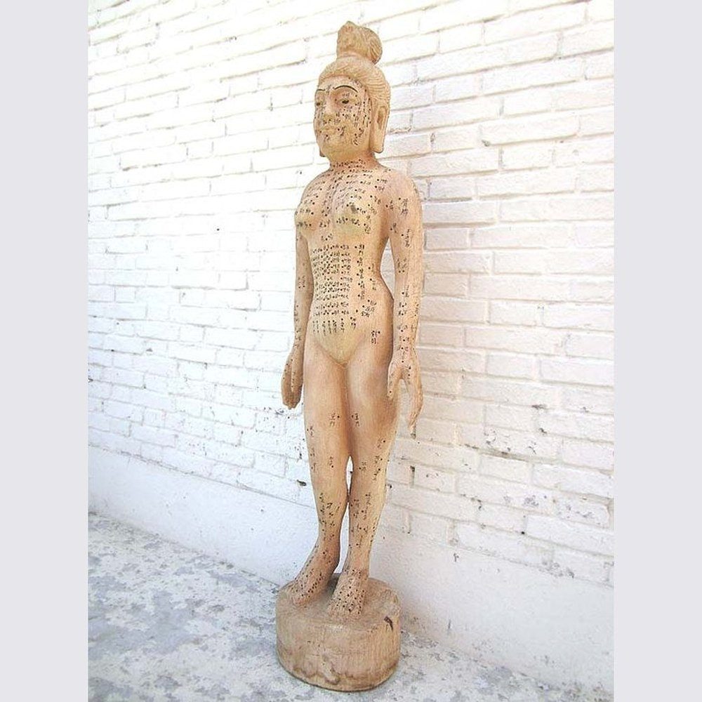 Luxury-Park-Direct Kommode CHINA 1930 Medizin Frauenkörper Akupunktur Lehrmodell des Körpers Holz