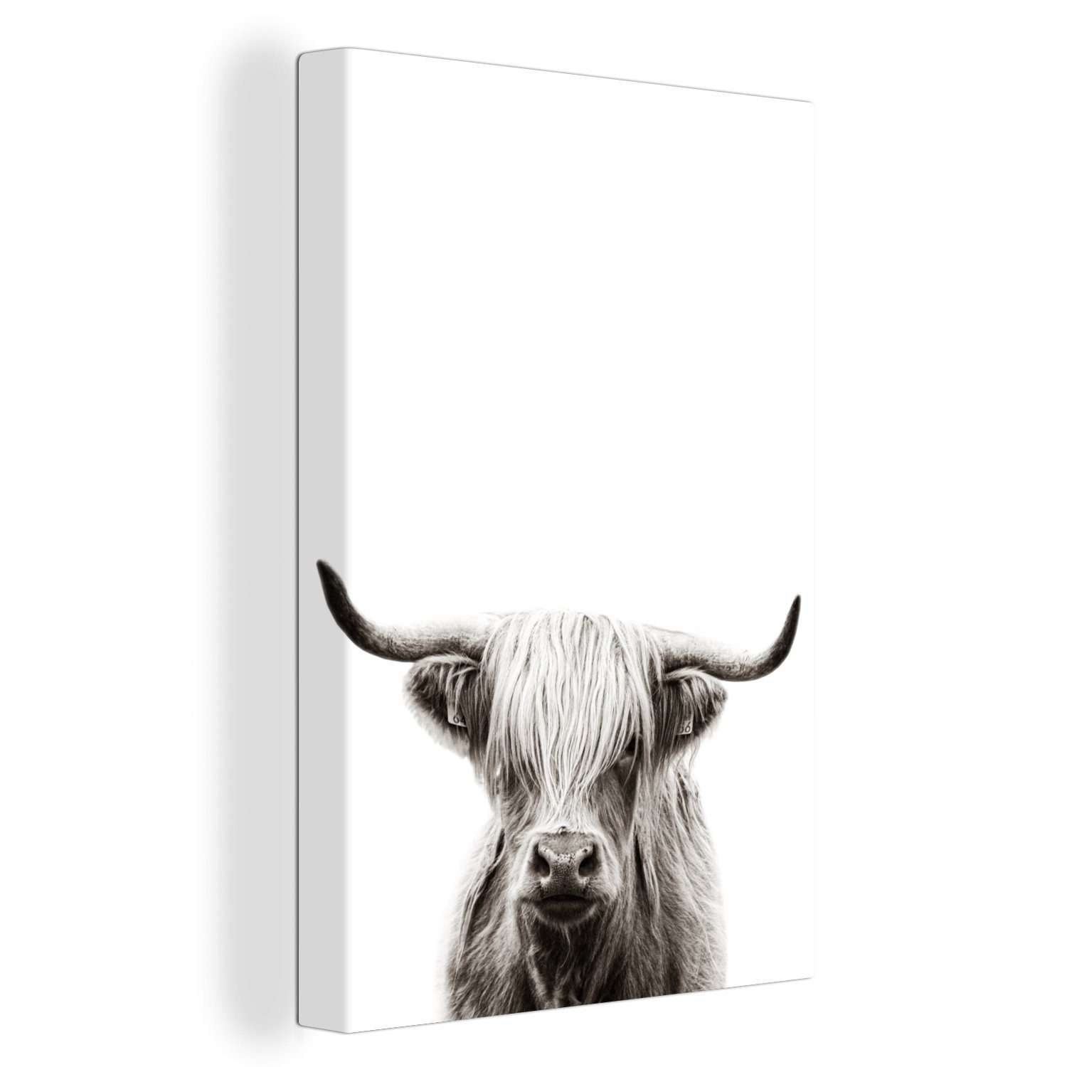 (1 Kuh, St), - Gemälde, Zackenaufhänger, OneMillionCanvasses® fertig - Leinwandbild Leinwandbild Schottischer Highlander cm 20x30 Weiß inkl. bespannt
