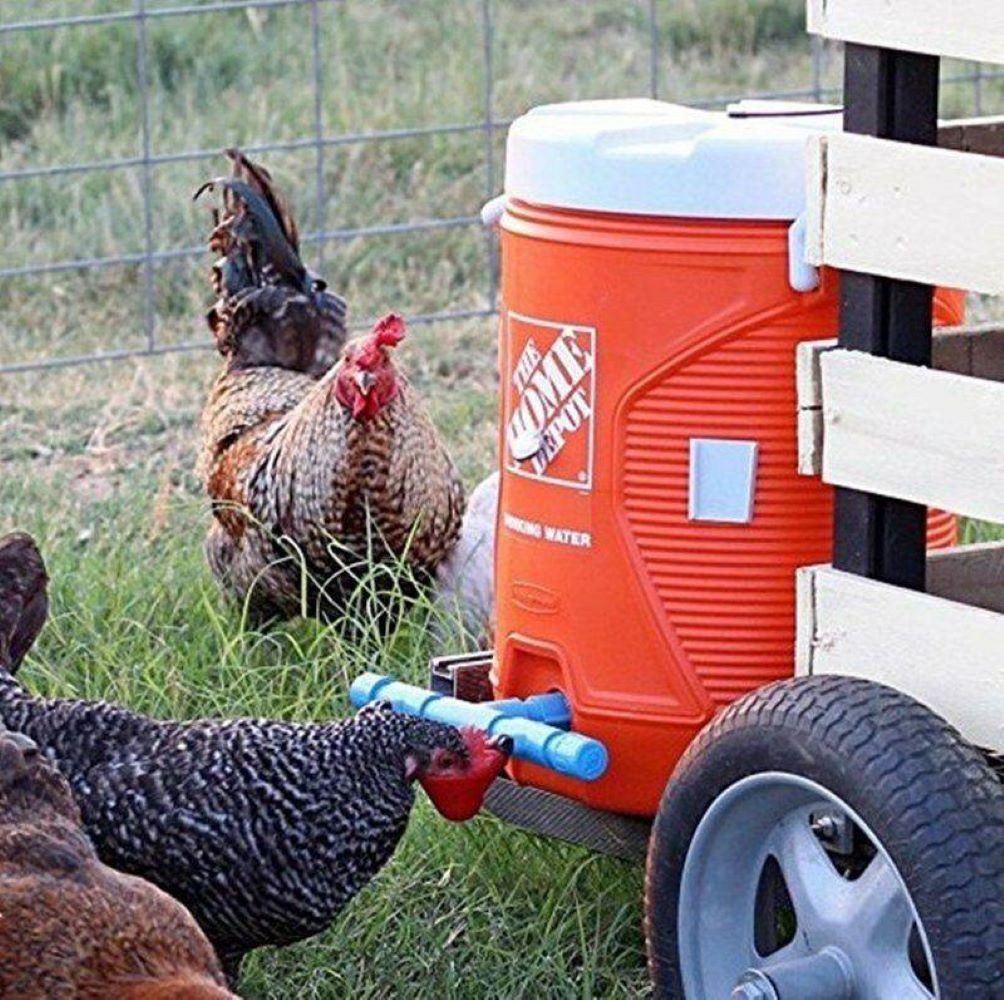 MC Star Futterautomat 10-Tlg Geflügeltränke Automatisch, Hühnertränke Hühne günstig online kaufen