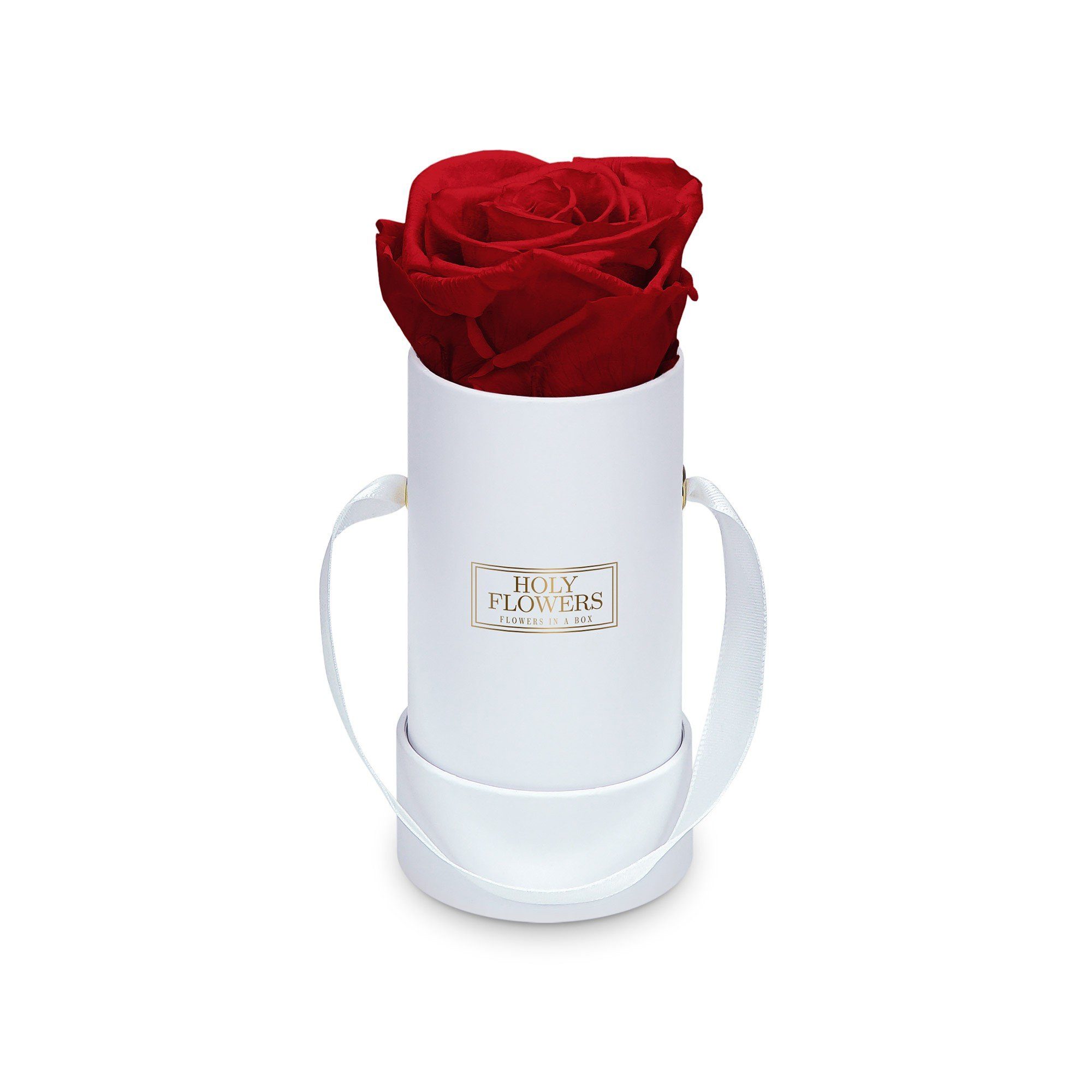 Kunstblume Runde Rosenbox in weiß mit 1er Infinity Rose I 3 Jahre haltbar I Echte, duftende konservierte Blumen I by Raul Richter Infinity Rose, Holy Flowers, Höhe 9 cm Heritage Red